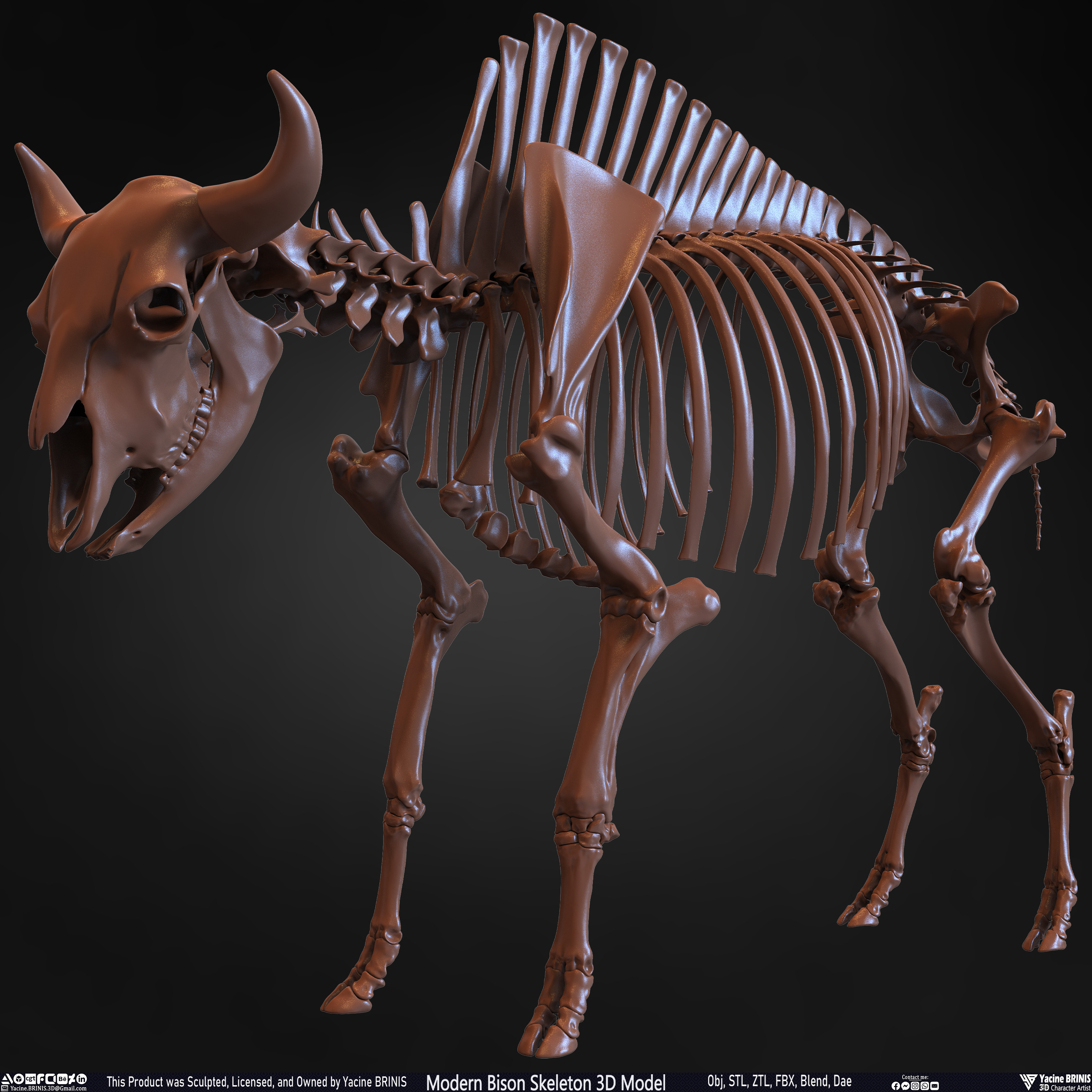 Modern Bison Skeleton 3D Model Sculpted by Yacine BRINIS Set 014