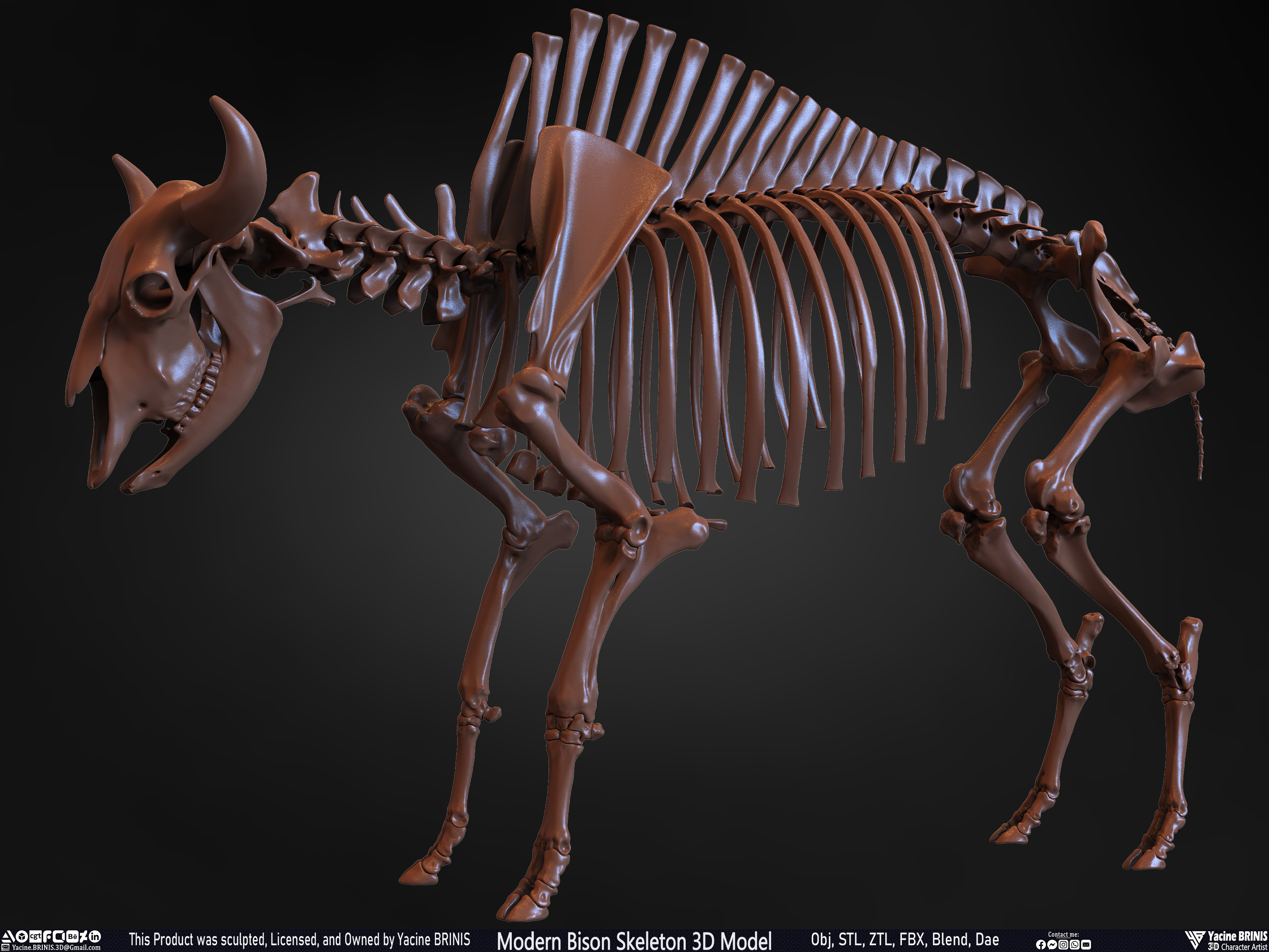 Modern Bison Skeleton 3D Model Sculpted by Yacine BRINIS Set 016