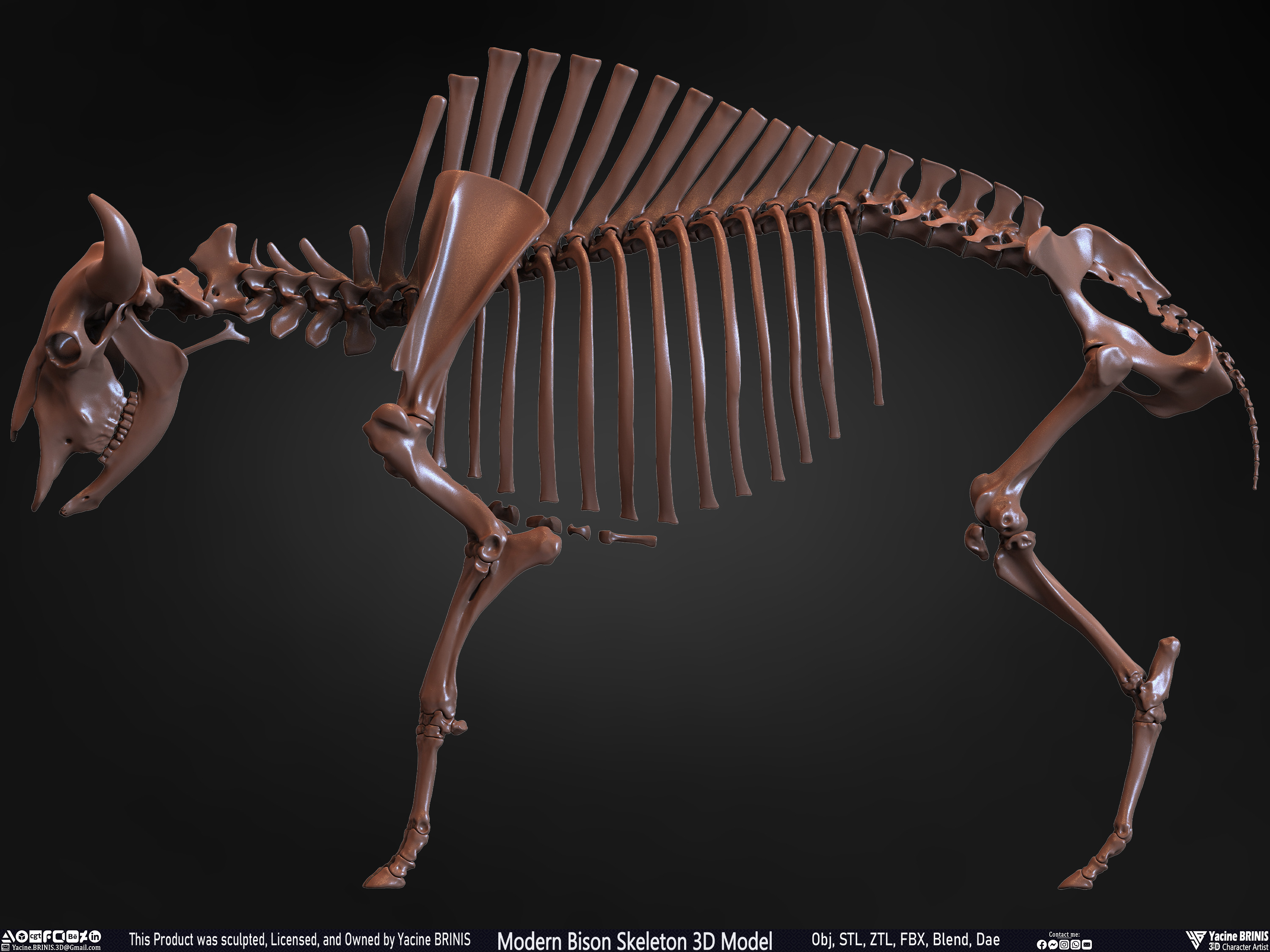 Modern Bison Skeleton 3D Model Sculpted by Yacine BRINIS Set 018