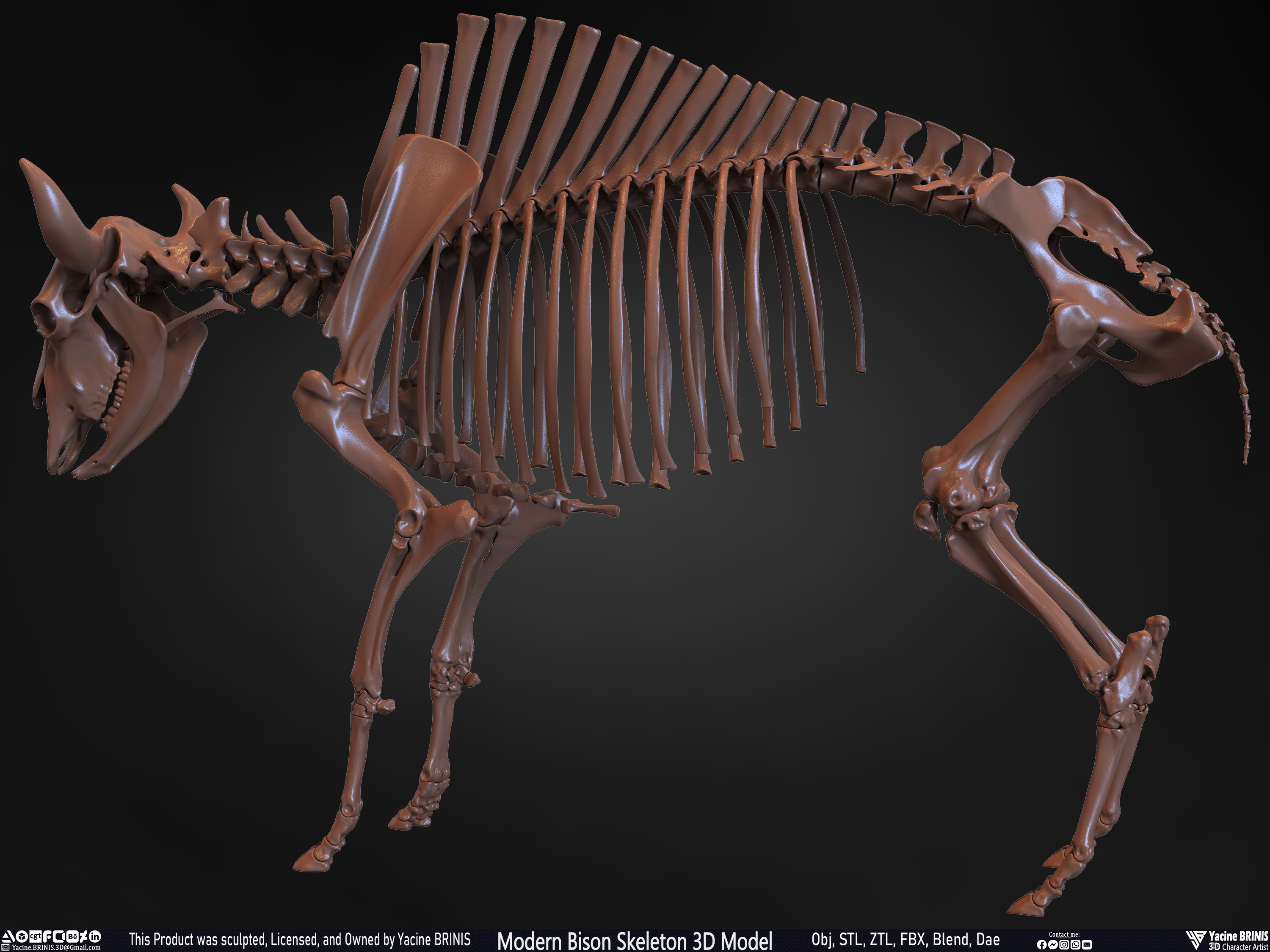 Modern Bison Skeleton 3D Model Sculpted by Yacine BRINIS Set 019