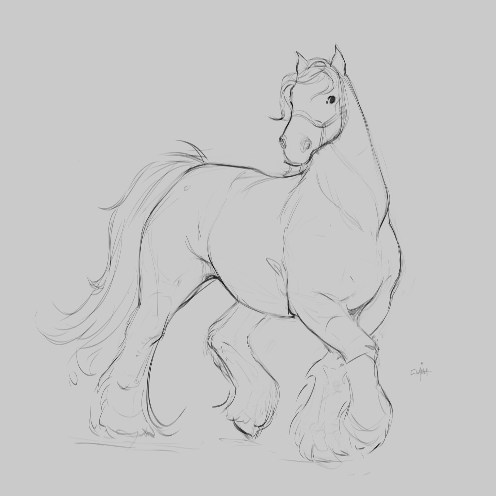 Naked horsie