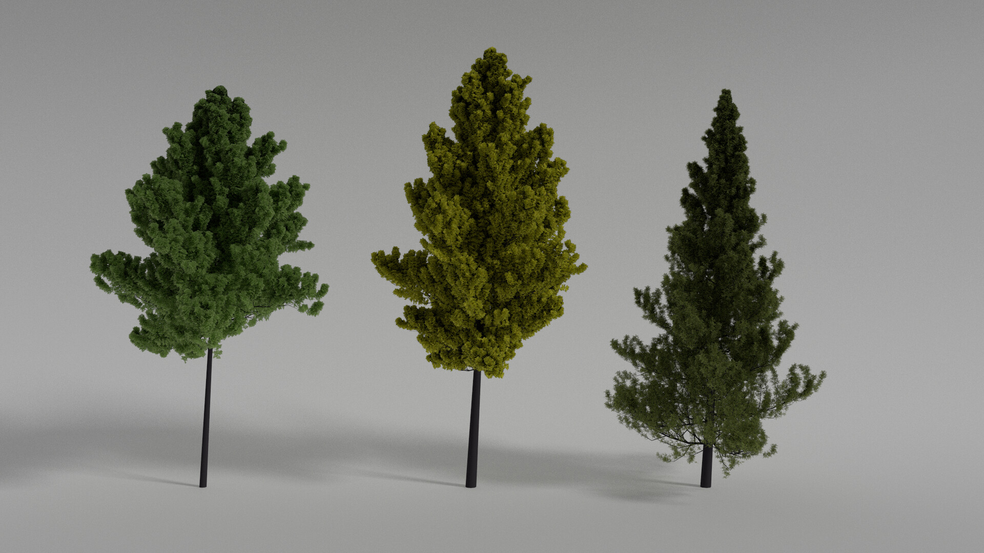3 ели. Шейдер 3д Макс дерево. Деревья 3d Max Corona. Low Poly деревья Corona. Дерево 3d модель.