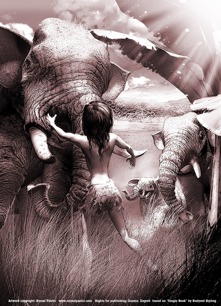 Mowgli and Elephants