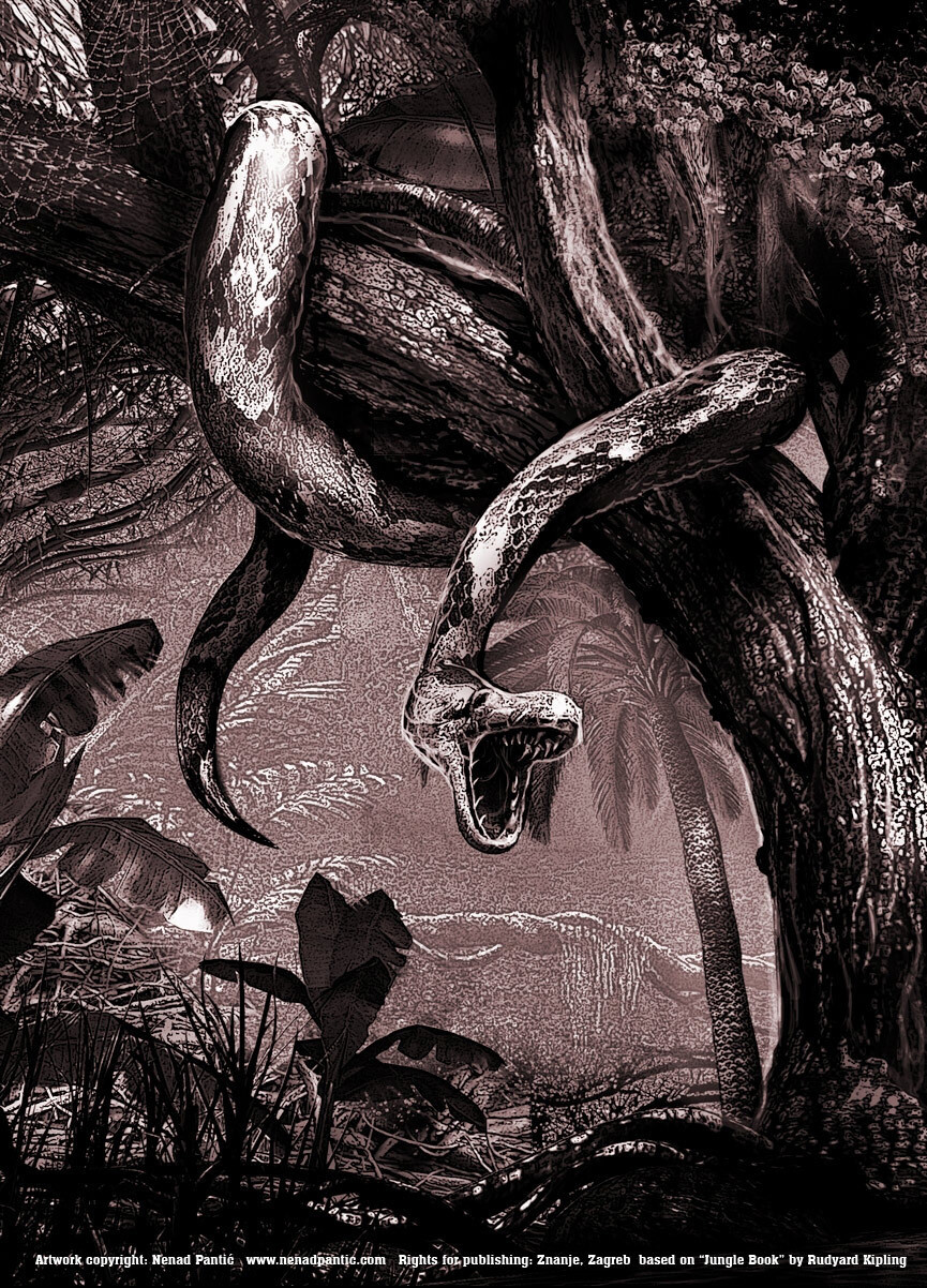 Nenad Pantic - The Jungle Book Front Cover by Rudyard Kipling