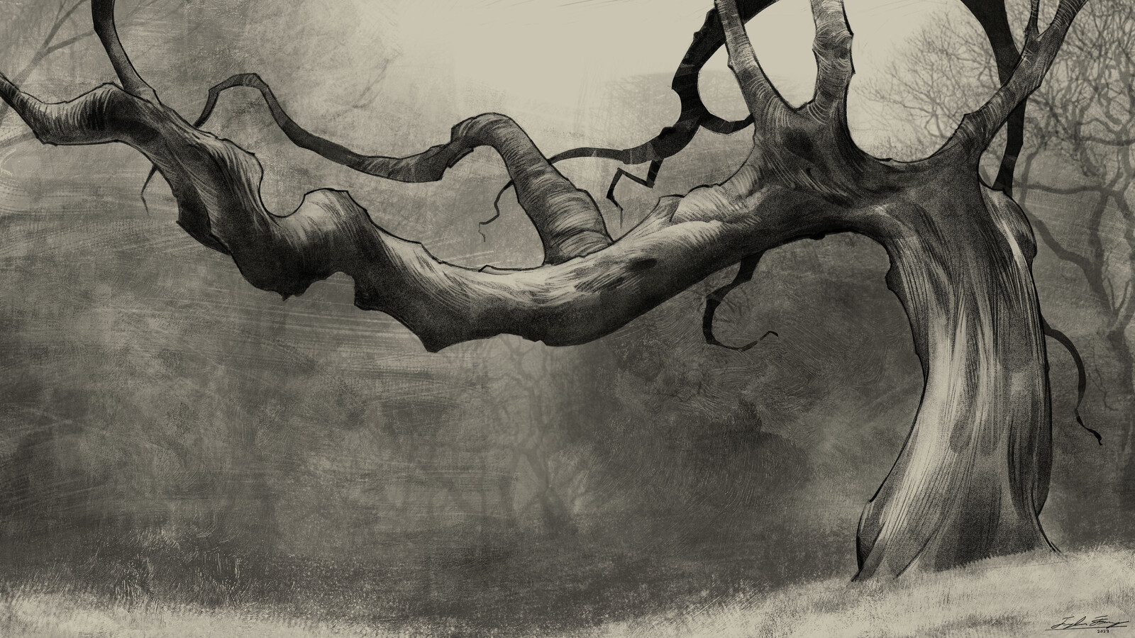 Tree Sketch