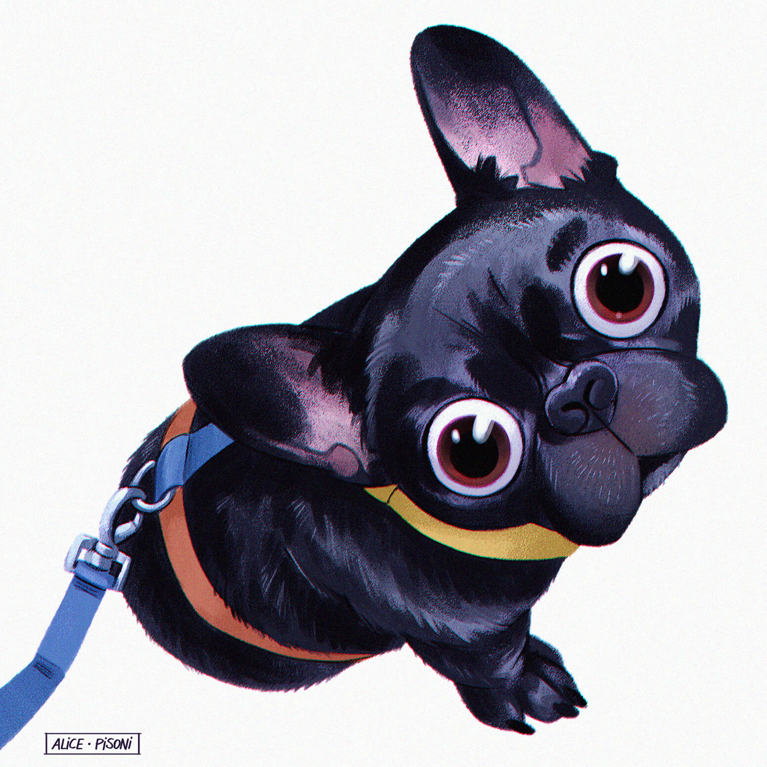 French Bulldog