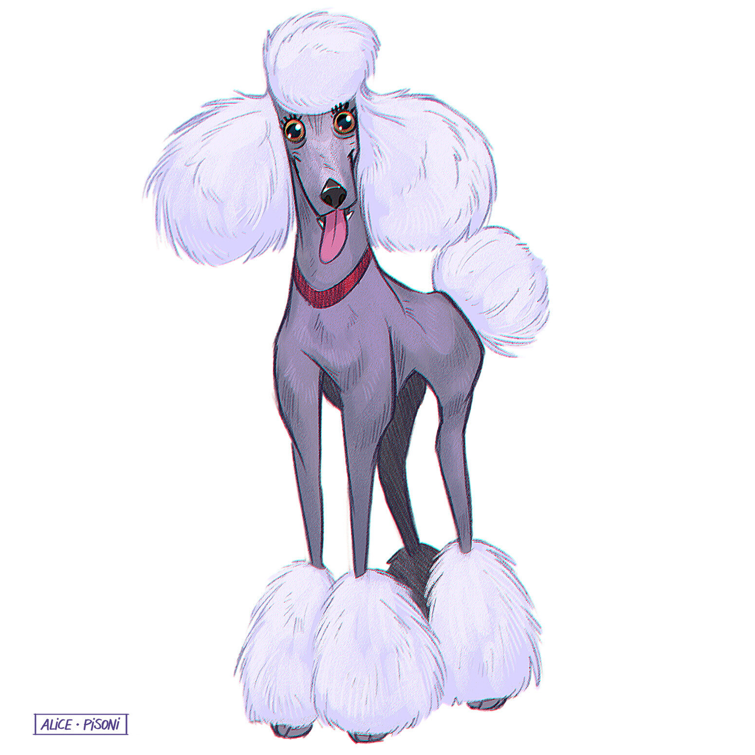 Poodle