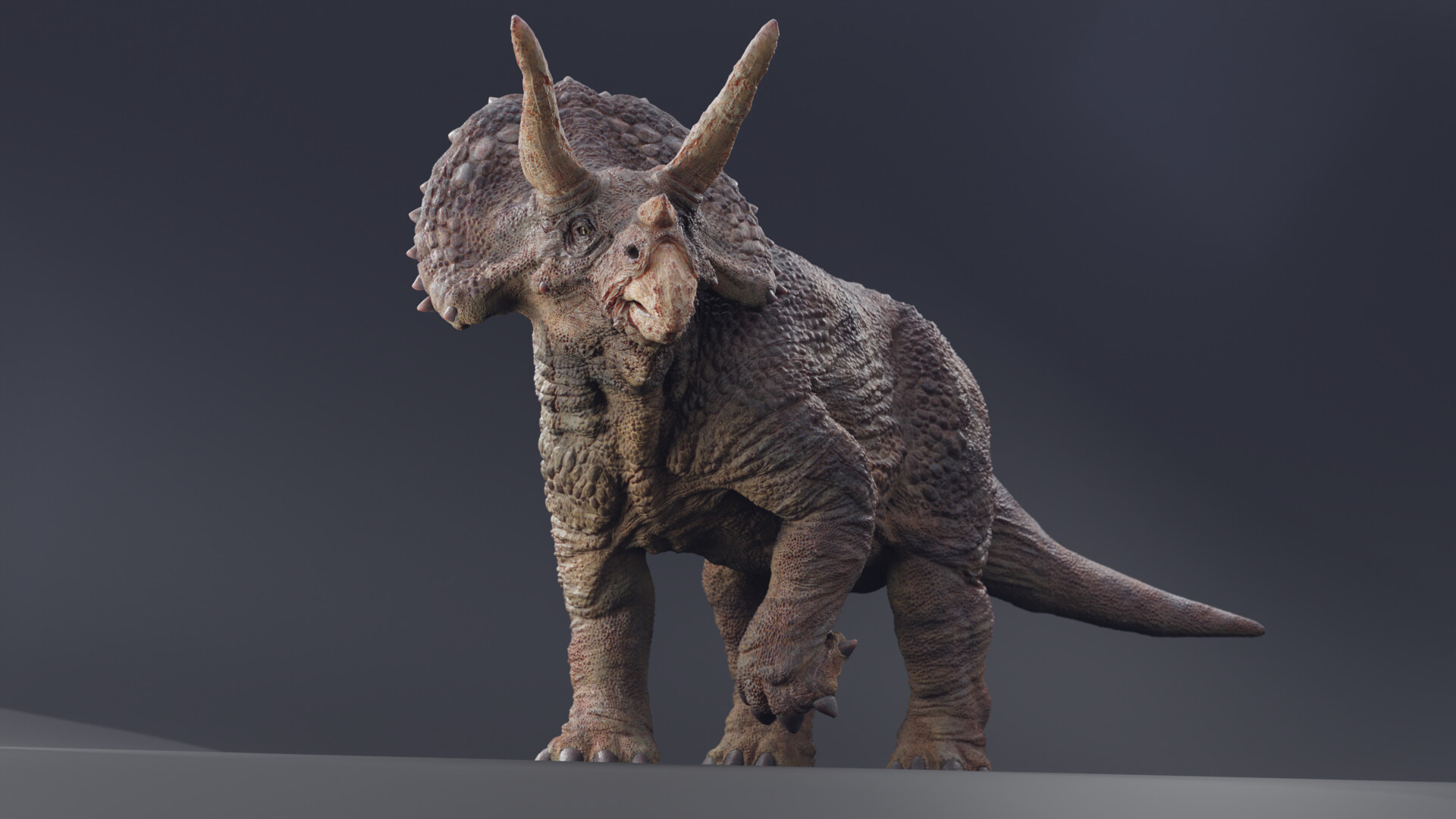 Triceratops jurassic world evolution HD wallpaper