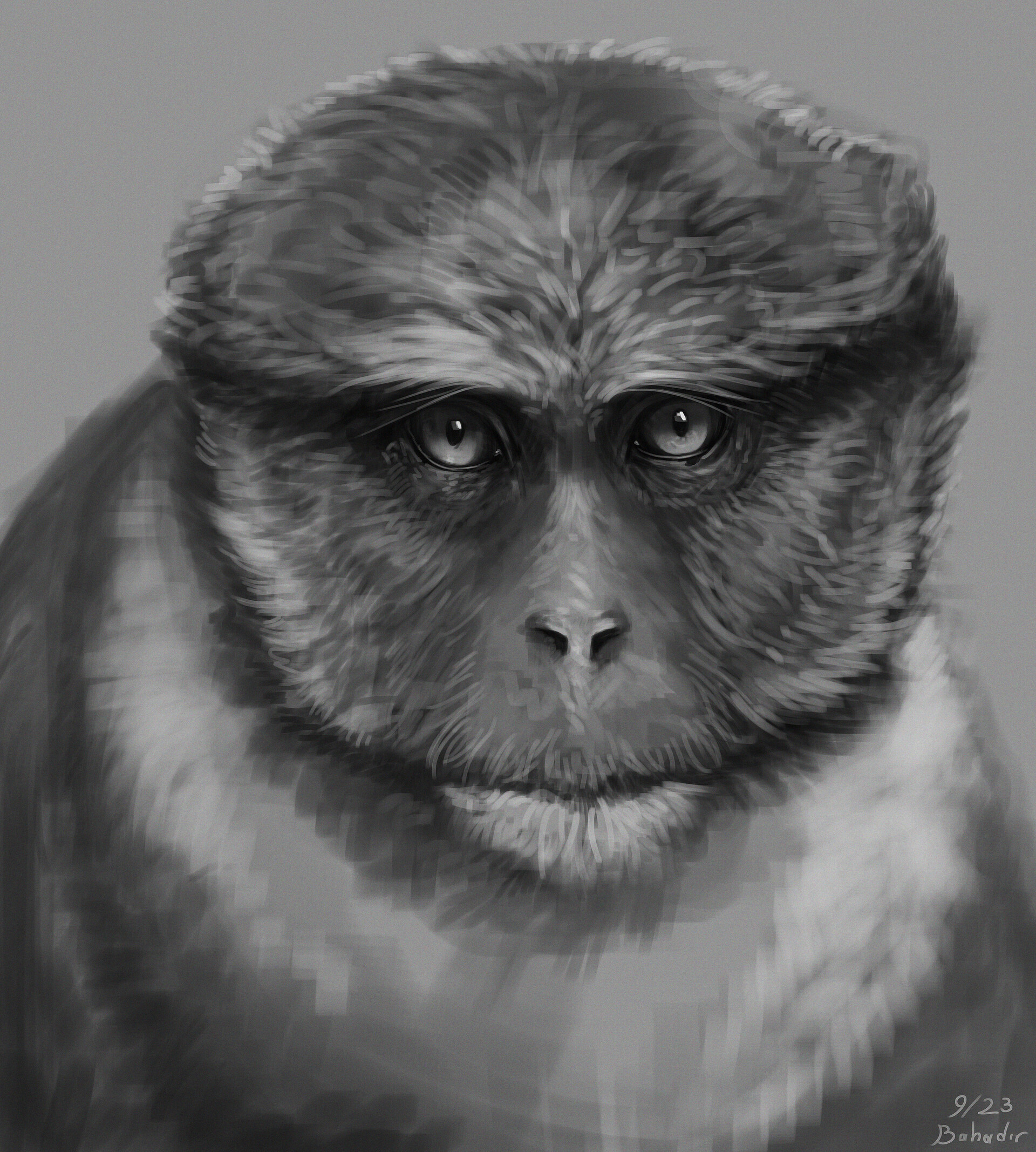 Drawing by Bahadır Atcı