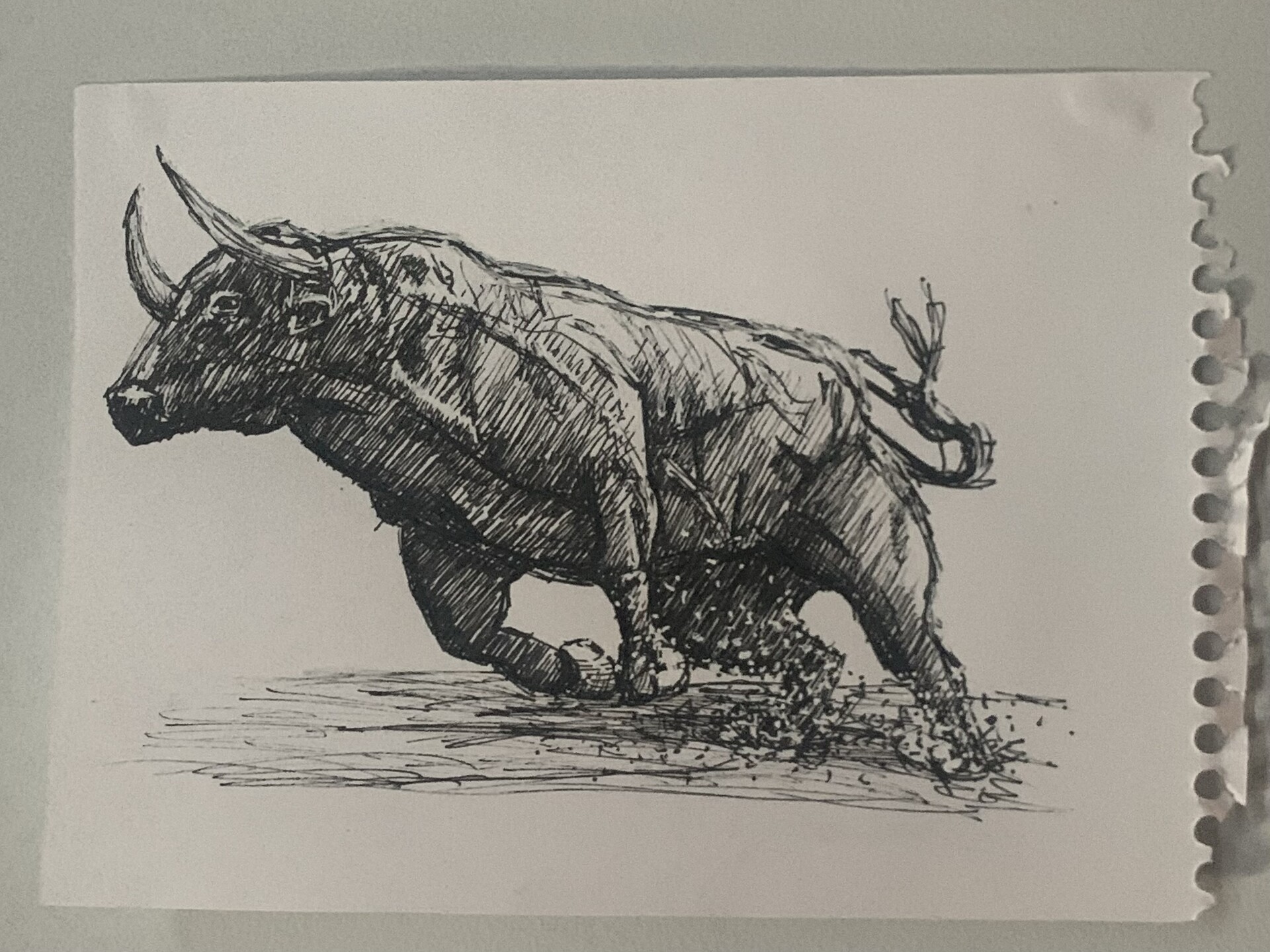 Bull ink shop