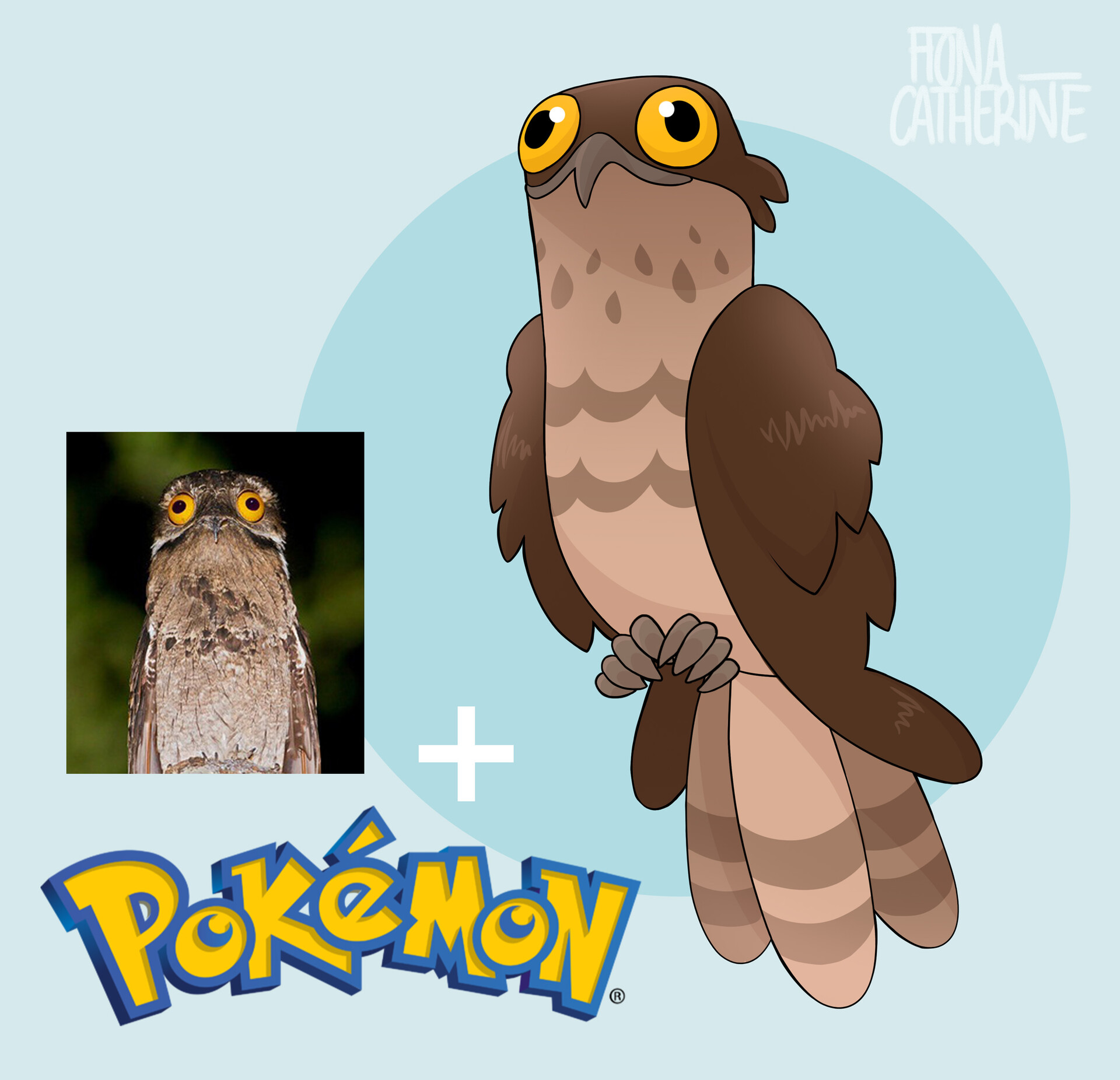 Bird pokemon hotsell