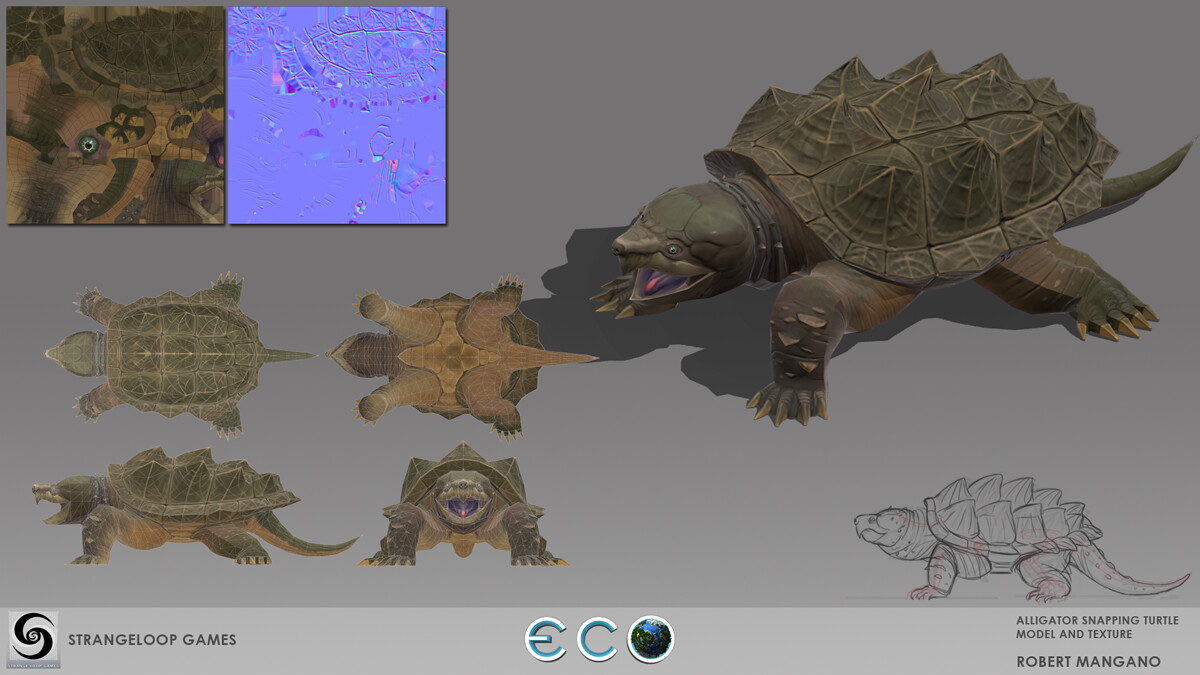 Alligator Snapping Turtle Concept, Model , Texture and Rigging.