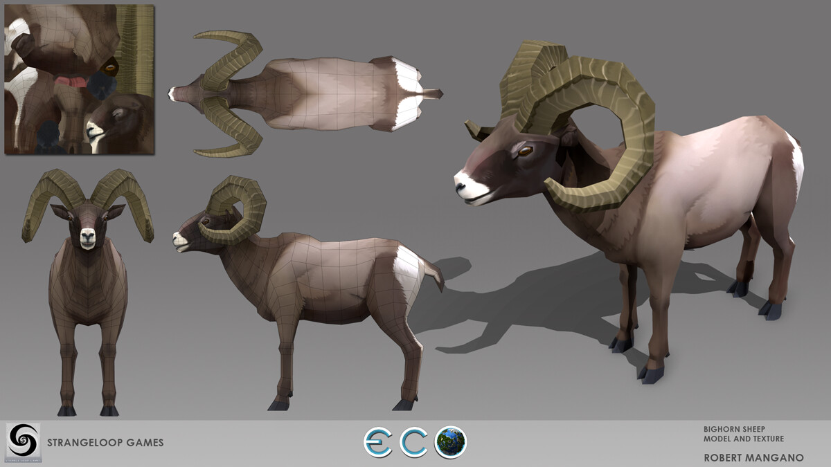 Bighorn sheep model, texture, rigging.