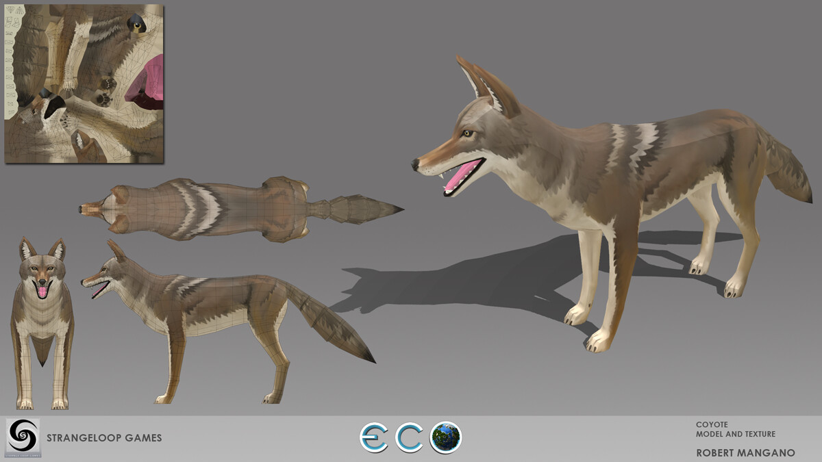 Coyote model, texture and rigging.