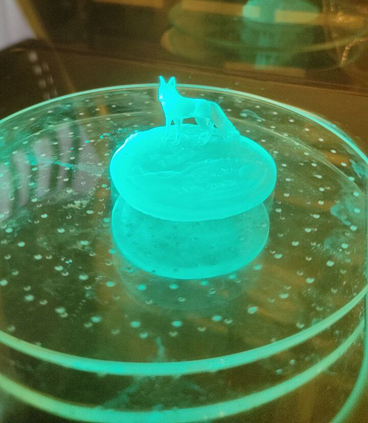 3d Printed Fox Body Parts 3d Printed Fox Body Parts