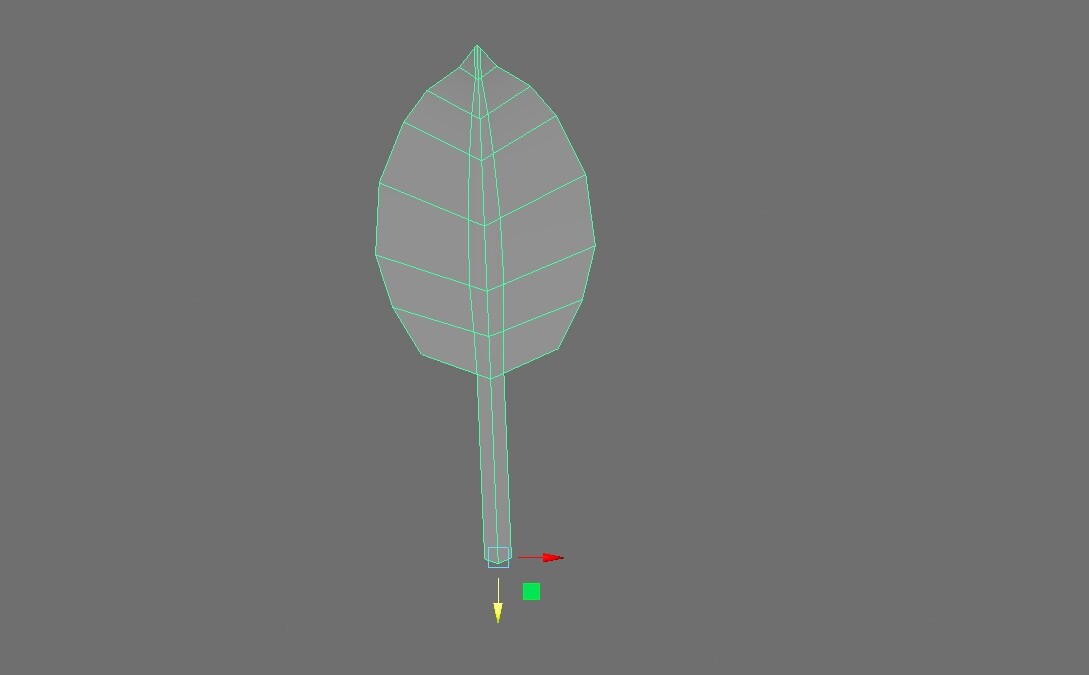 Polygons of the leaf mesh