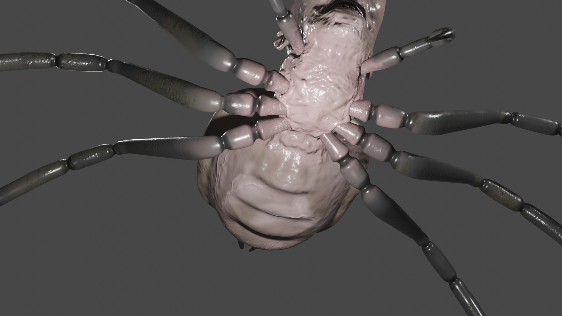 ArtStation - spider head 蜘蛛头