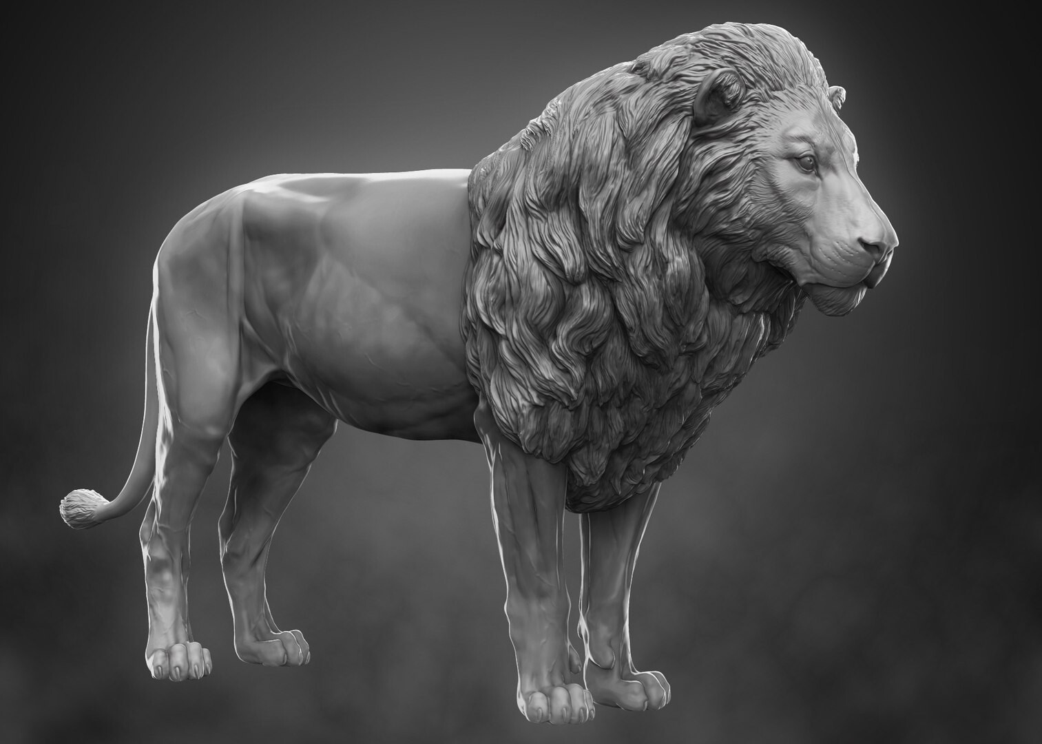 Ротвейлер Zbrush