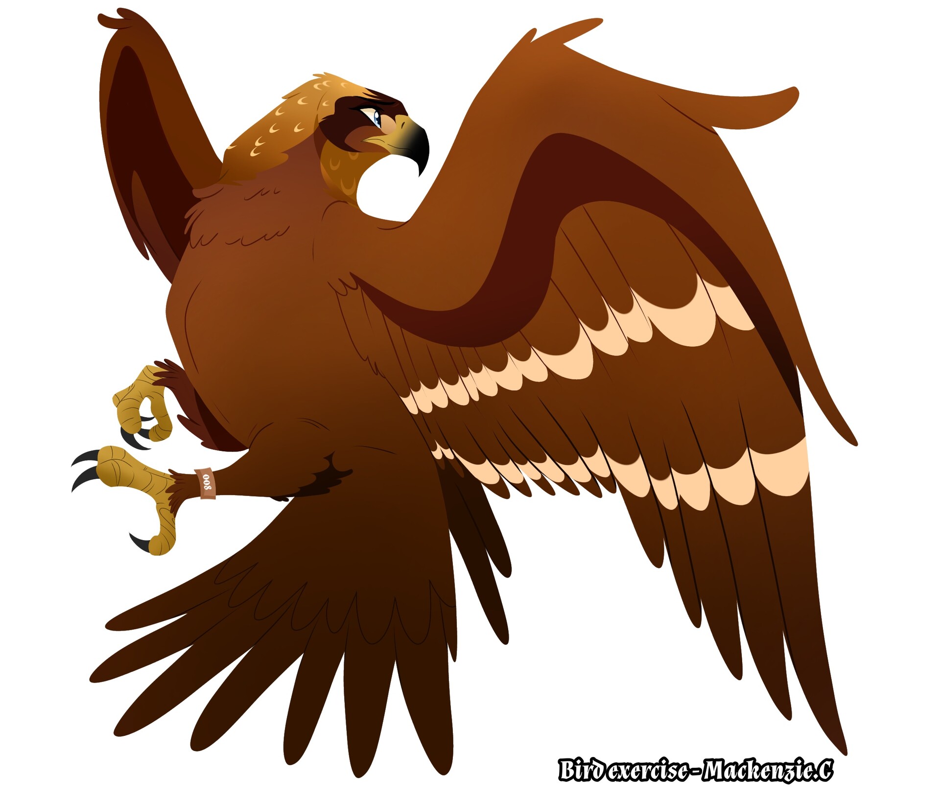ArtStation - Bird illustration-Golden Eagle