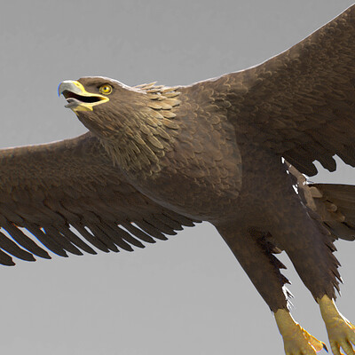 Eagle