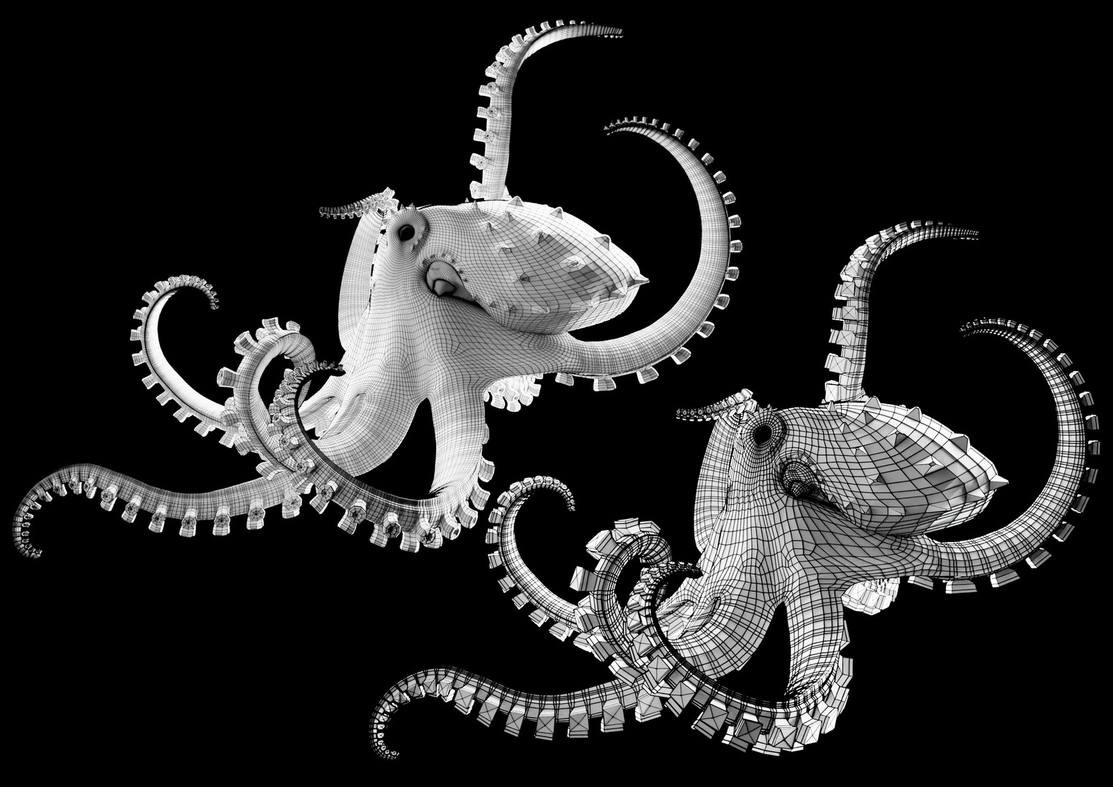 Blue Ringed Octopus Sculpt