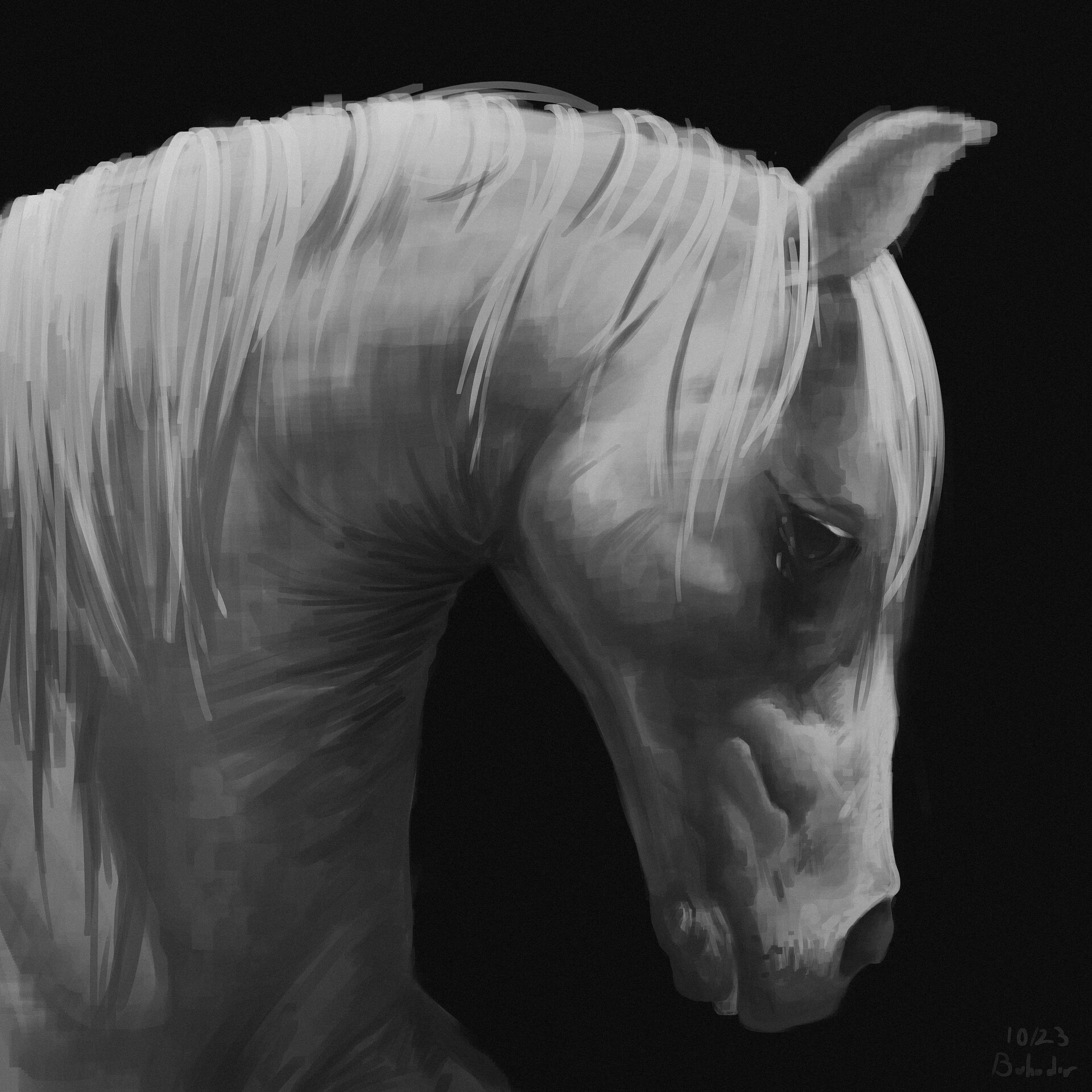 Drawing of a Horse by Bahadır Atcı