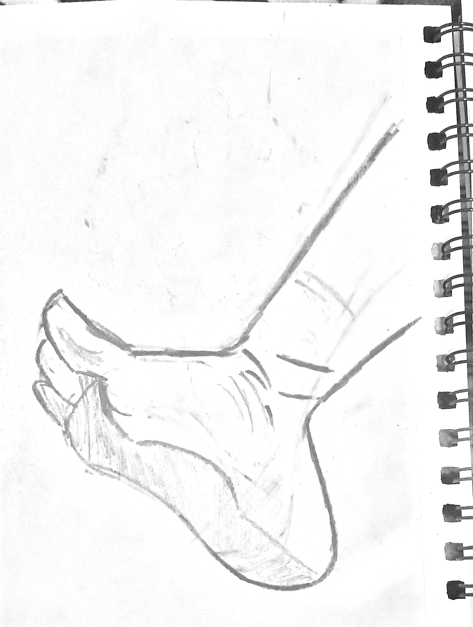 ArtStation More Anatomy Drawings Will Metcalf