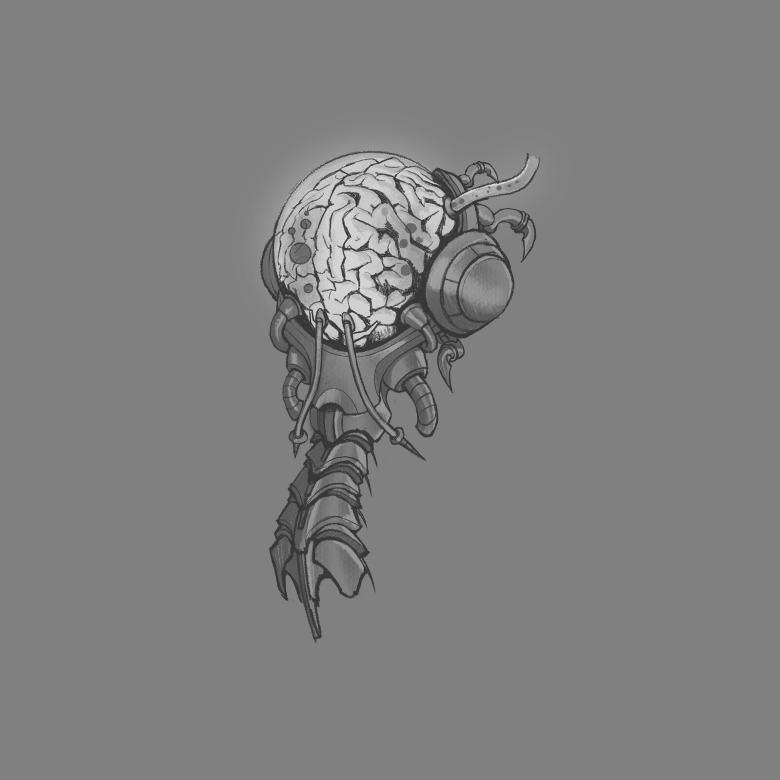 Early Explorations BRAIN CASING