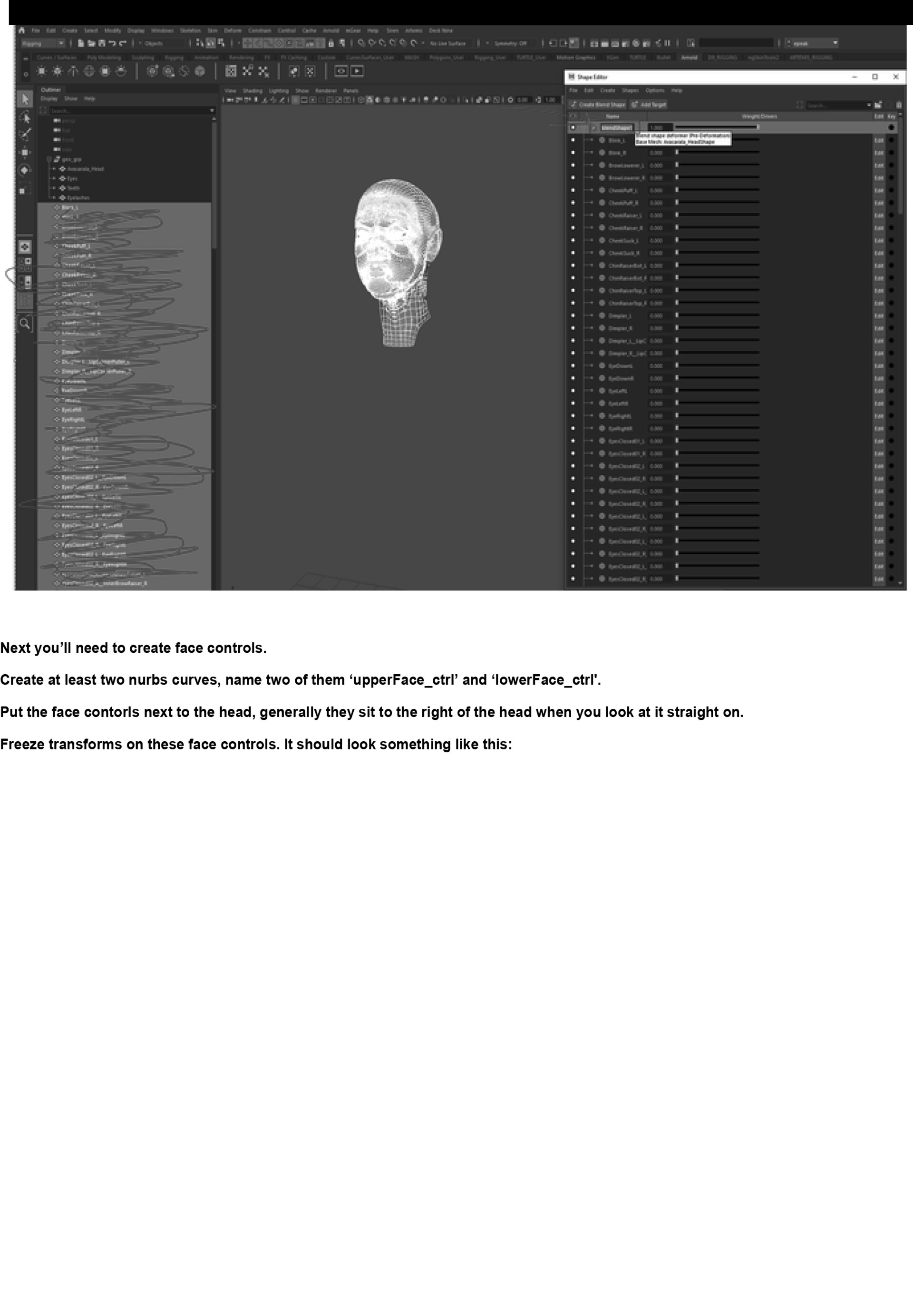 Ellie Peak Head Rig Demo and Documentation (2023)