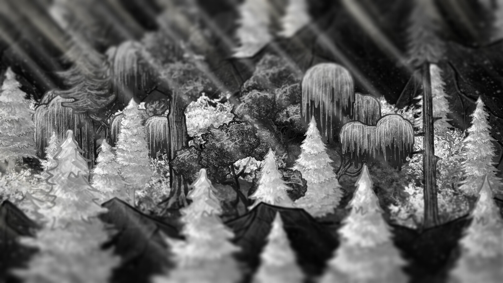 The Leached Land
