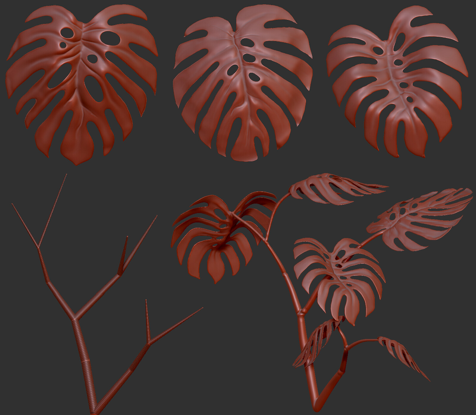 Sculpting in zbrushcore started with masking out 3 main leaf shapes on a plane, and using zspheres to block-out the branches