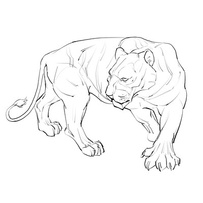 Animals