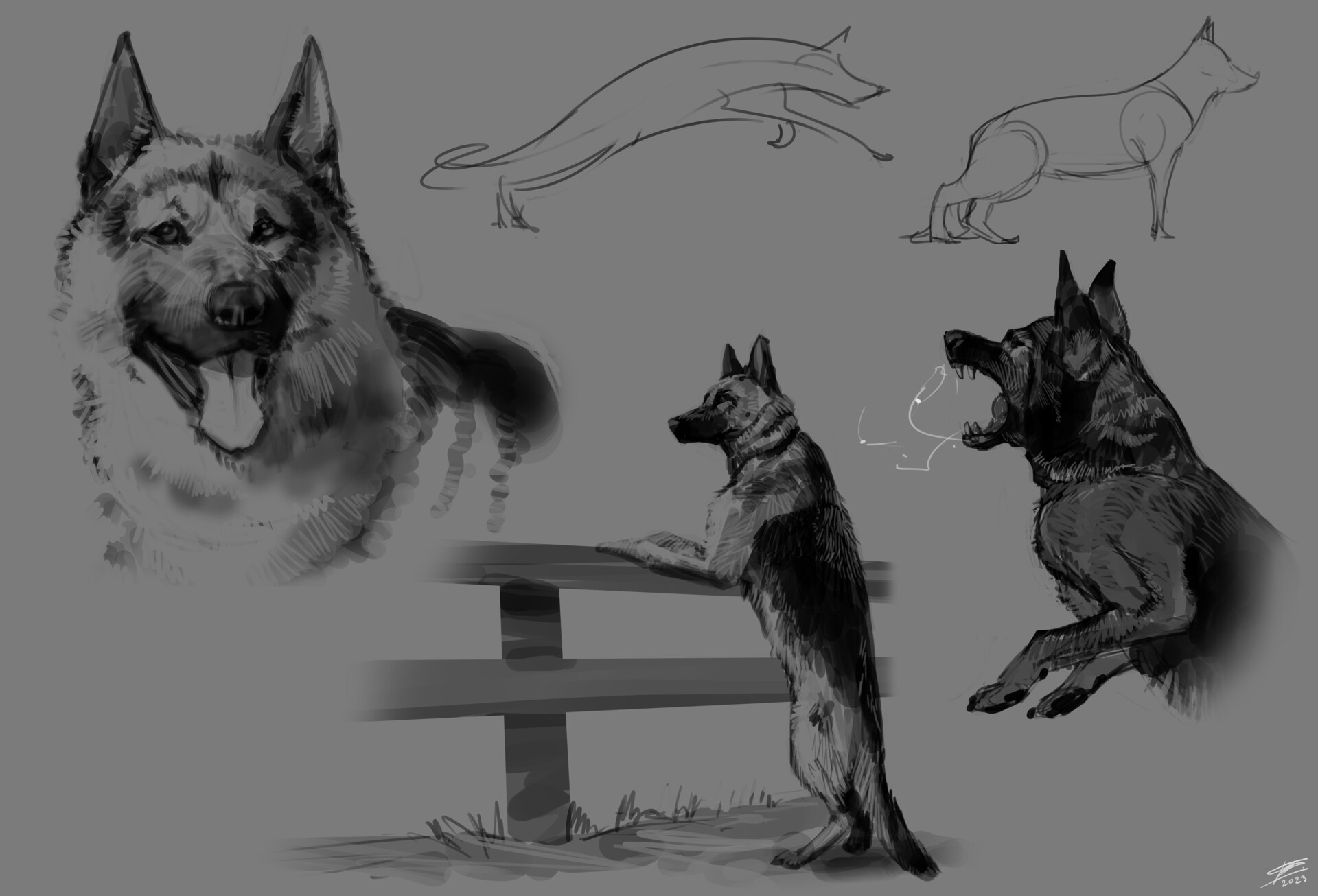ArtStation - German Shepherd