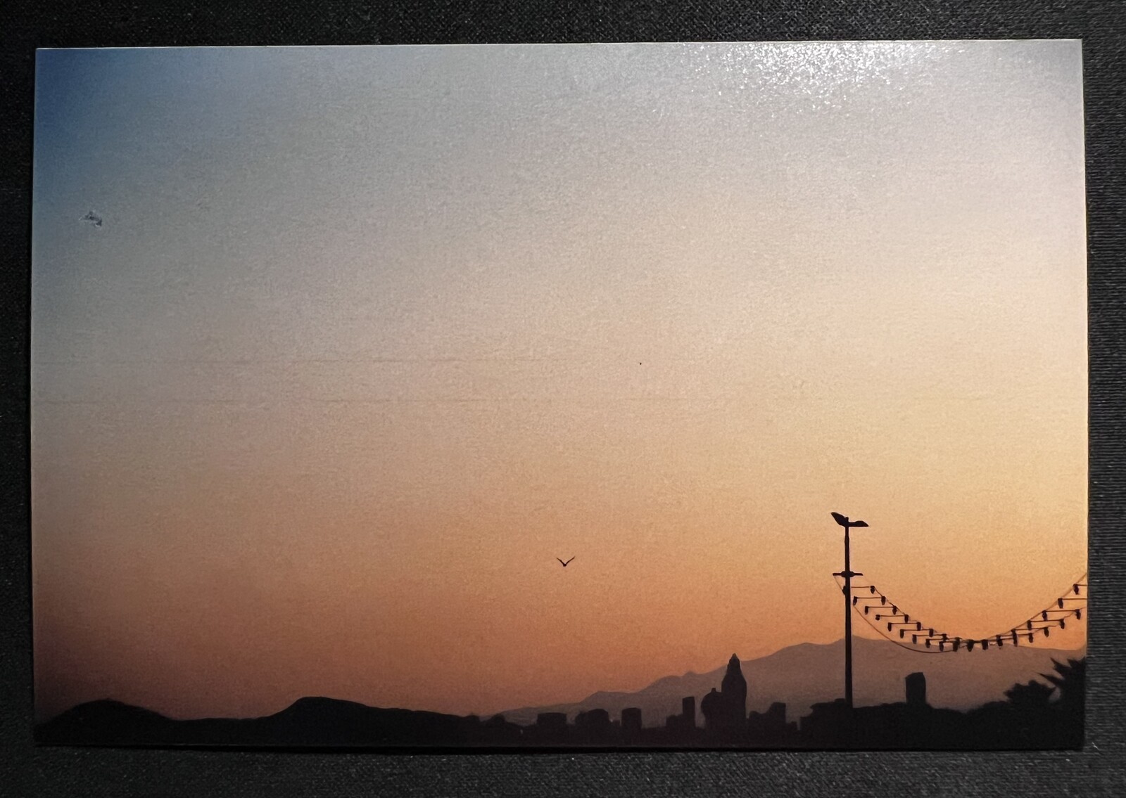 Photo collection 4