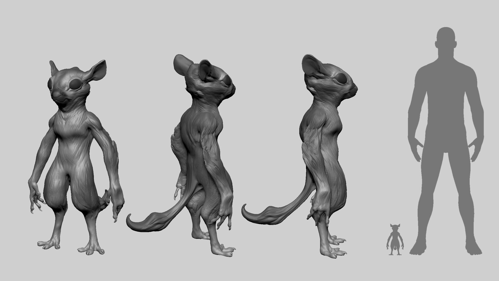 Small body types were also explored.