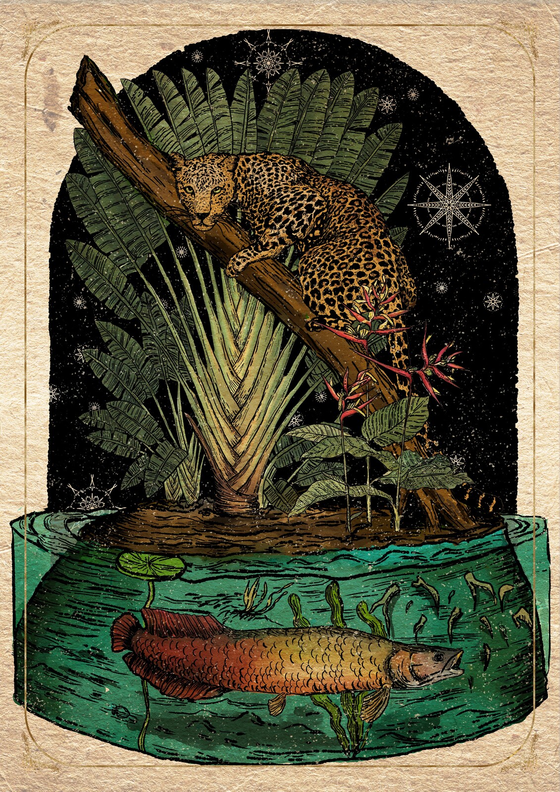 Flora.Ars- Isabel M - Jaguar by the river 