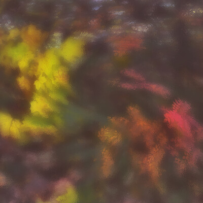Autumn's dance