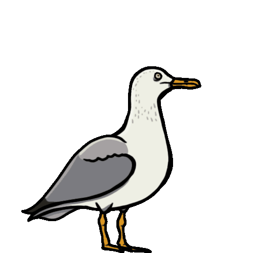 Mat Chartrand Flippy The Bird Sprites