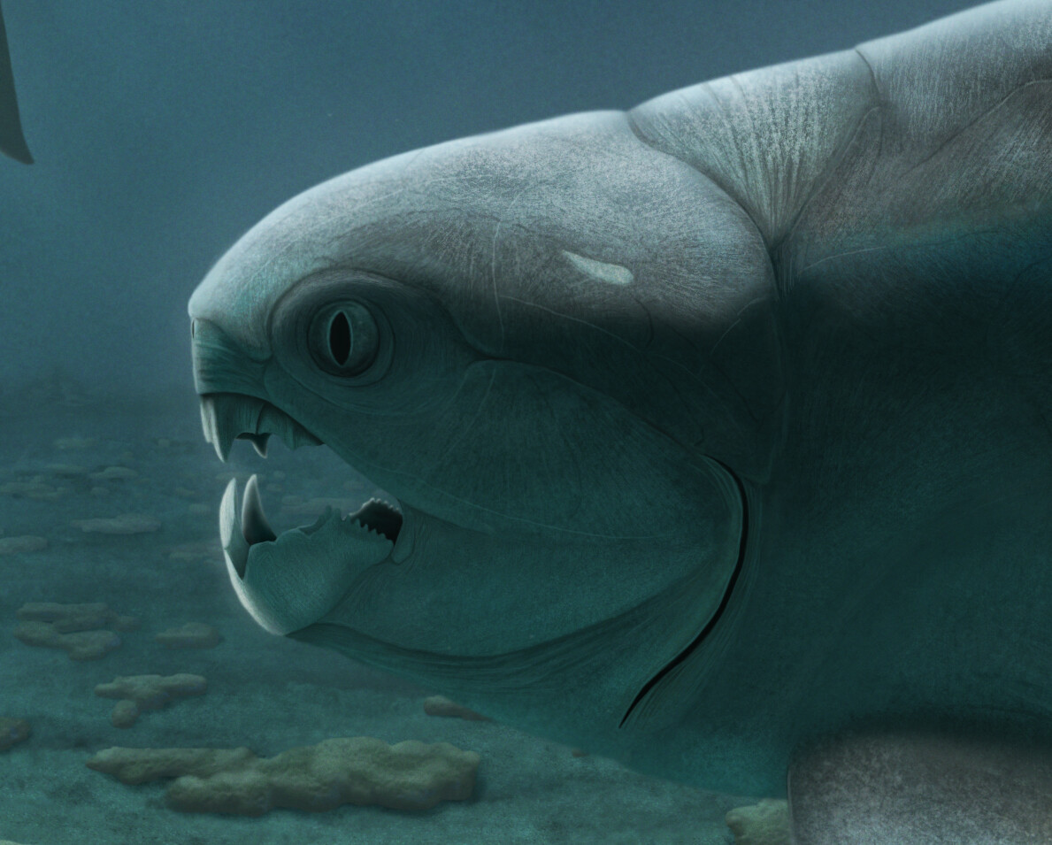 Gorgonichthys 