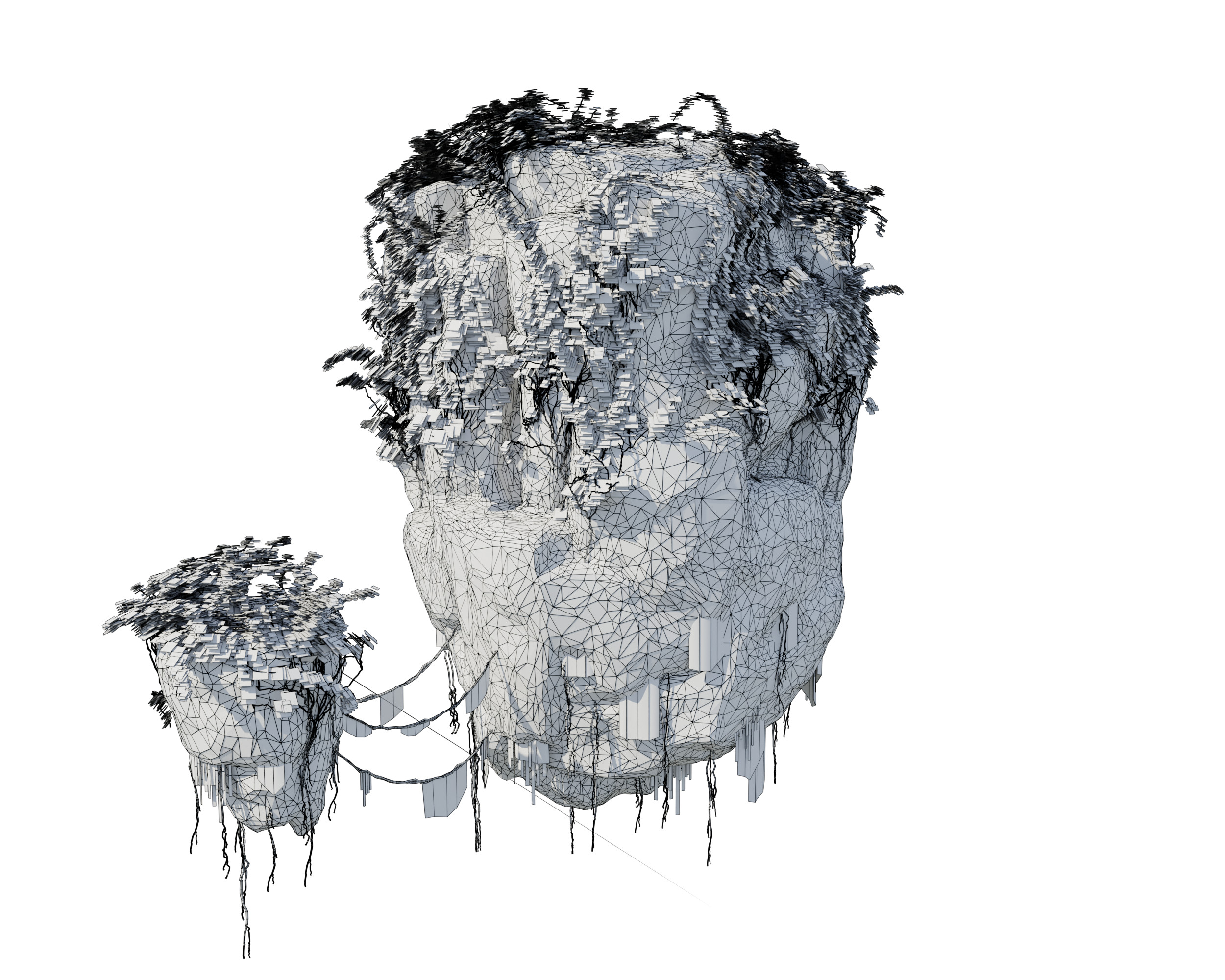 Floating Rock Wire View.