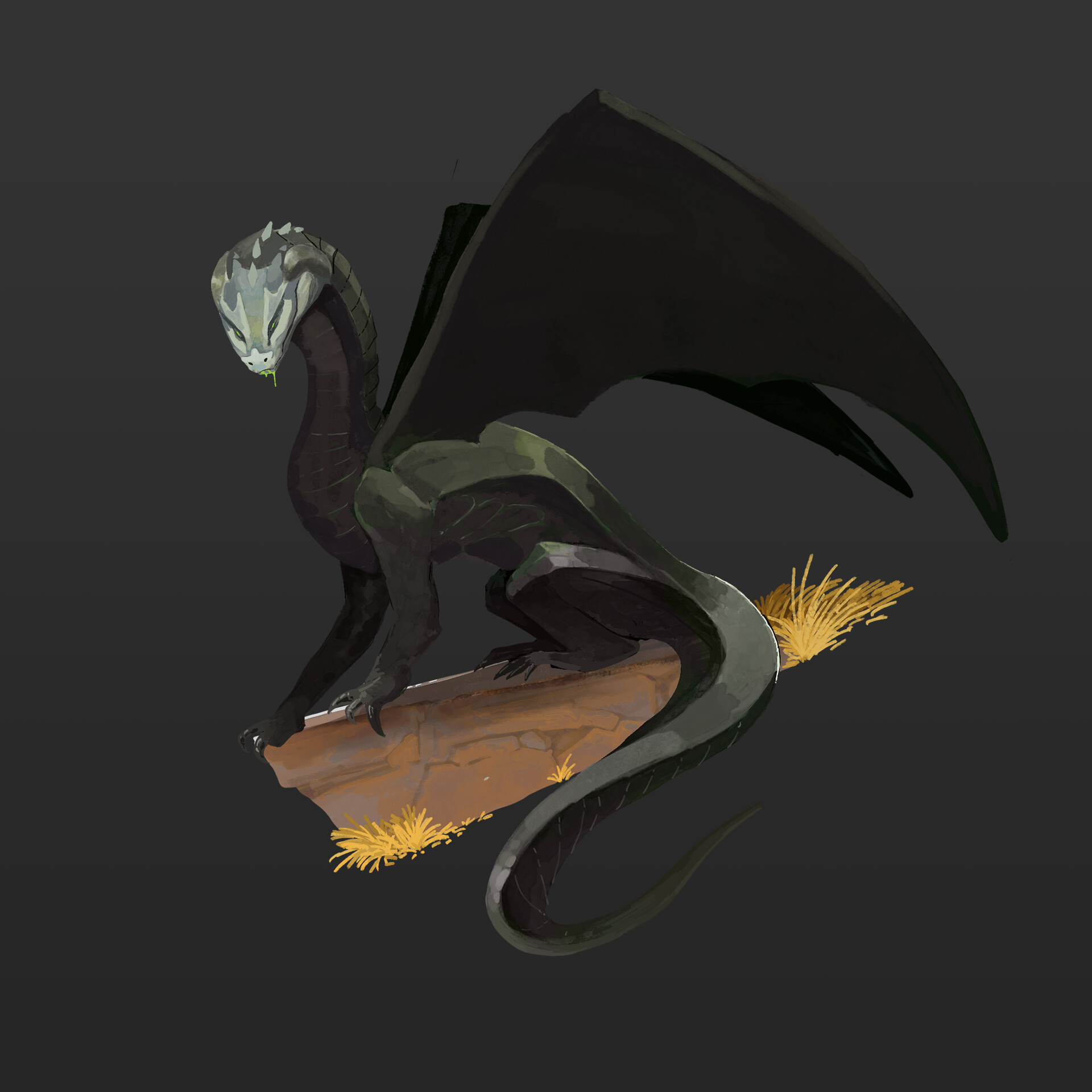 ArtStation DnD Dragon Catalog