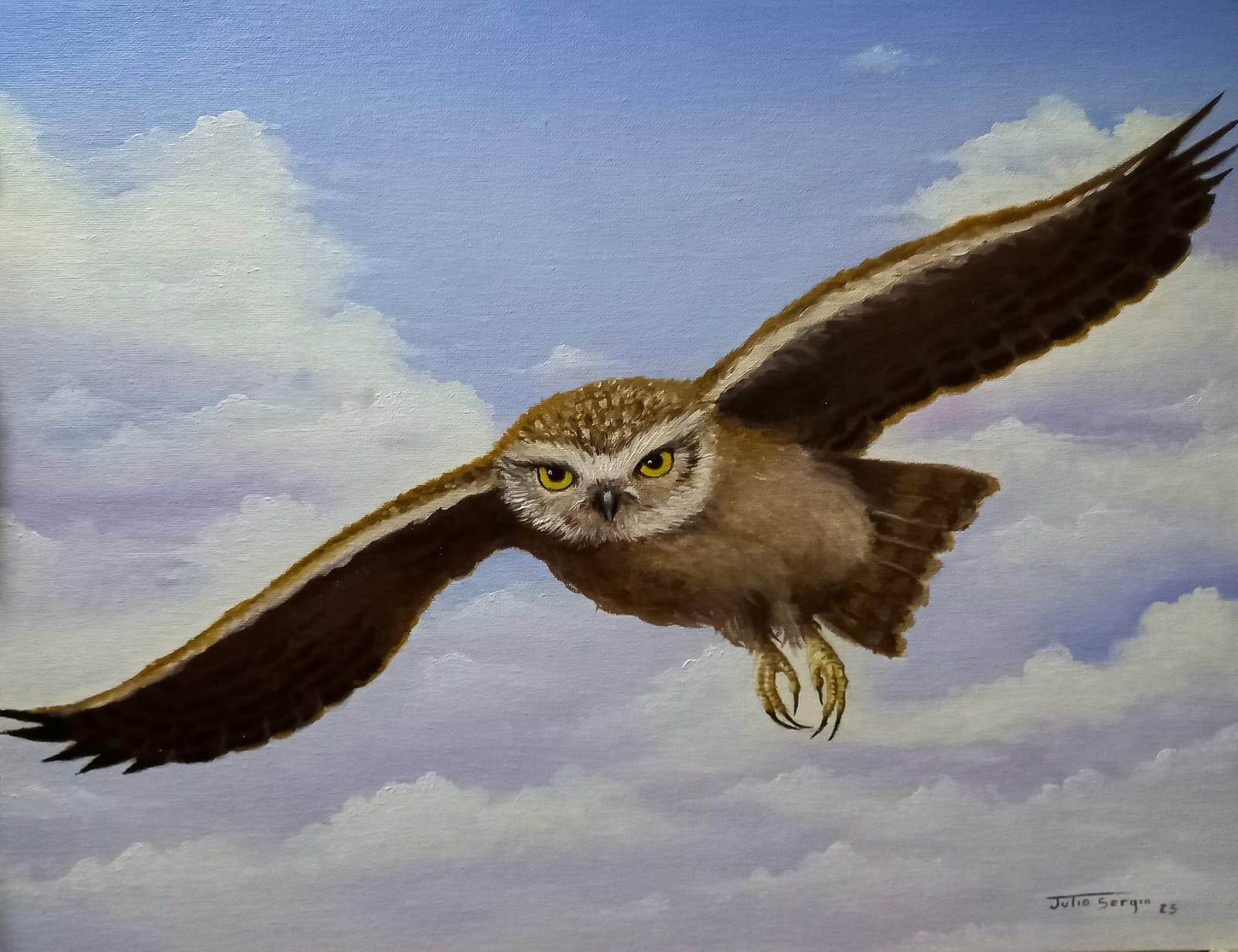 Owl flying
Oil canvas
50 x 40 cm