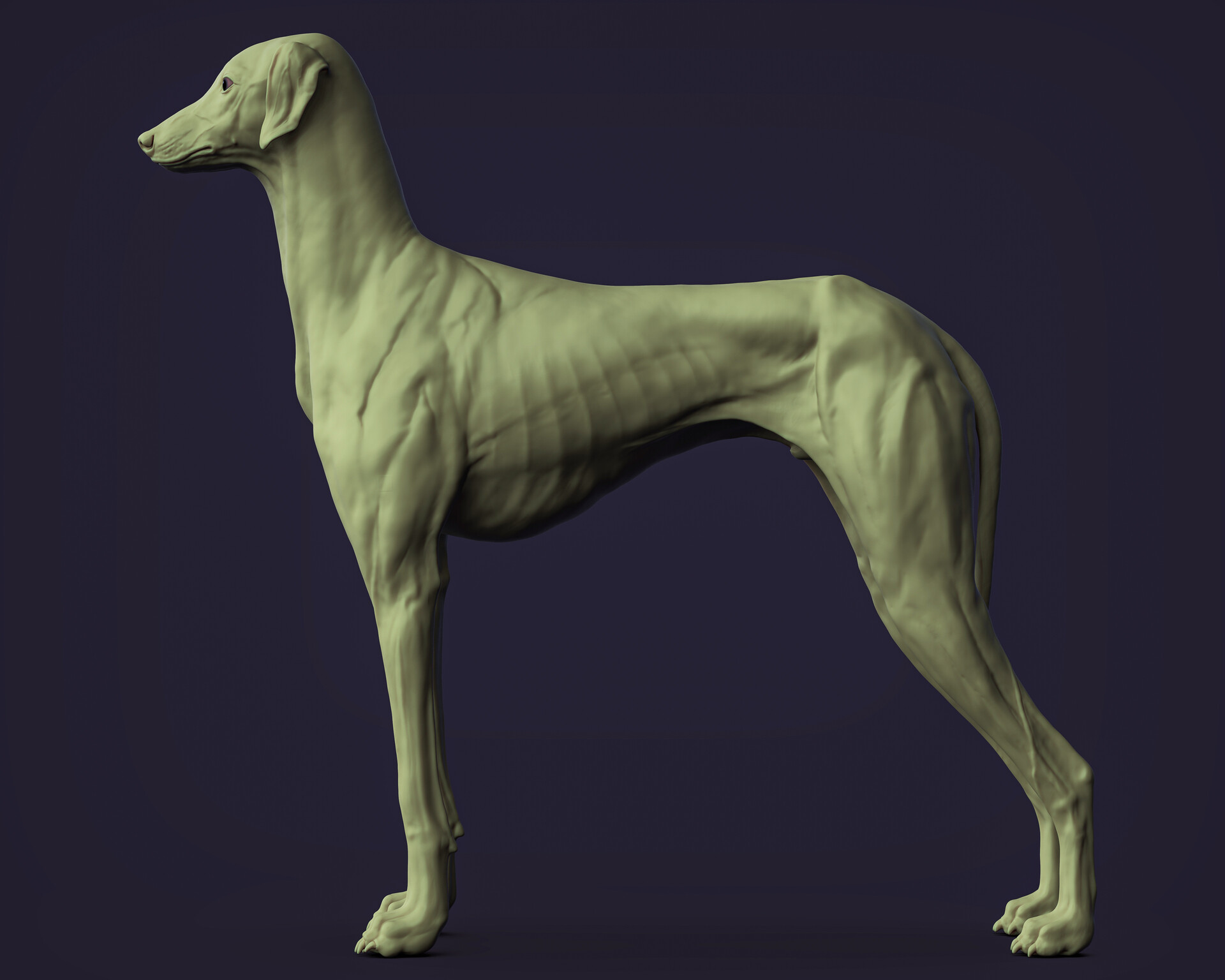 ArtStation - Greyhound