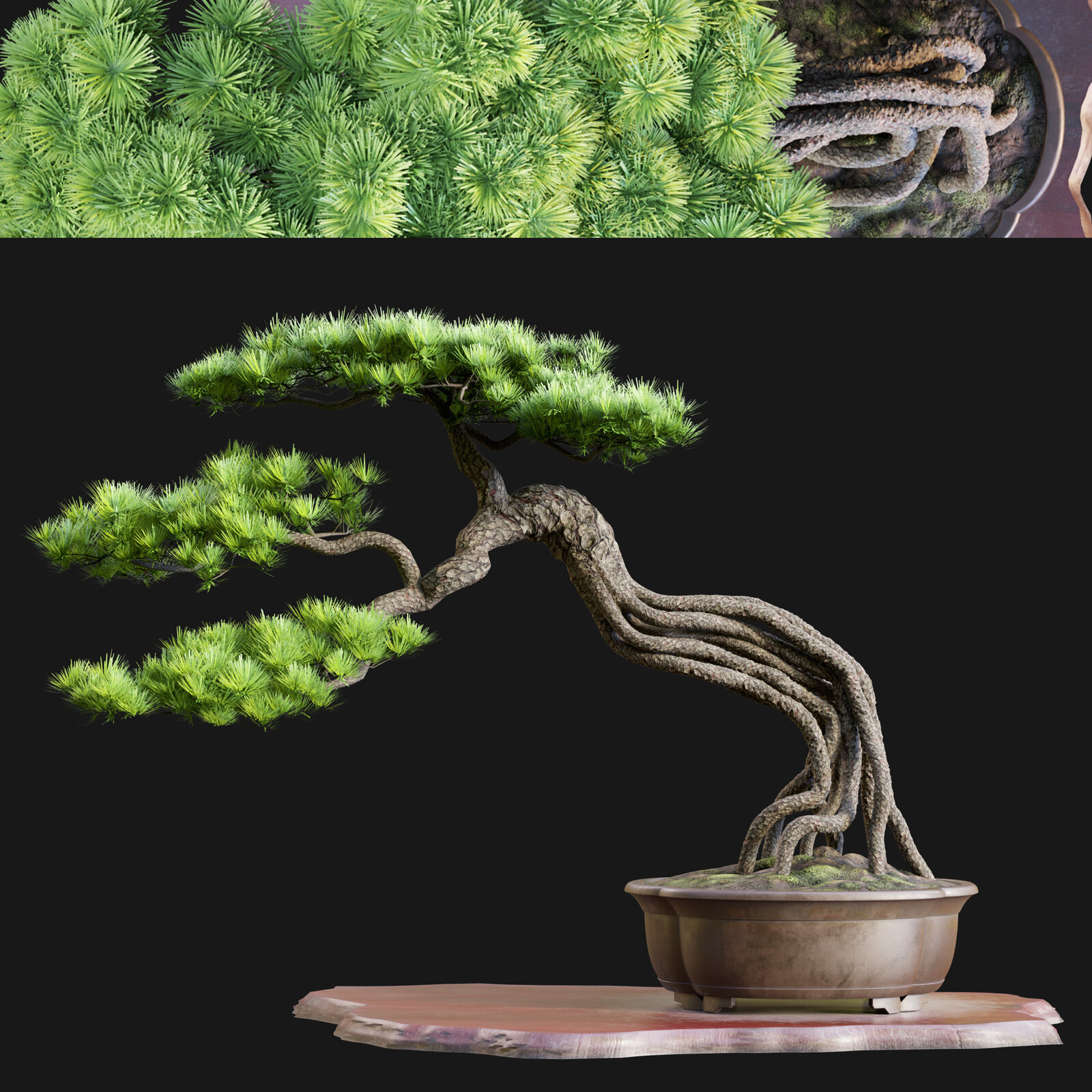 Bonsai 04 | PBR | Midpoly | HQ