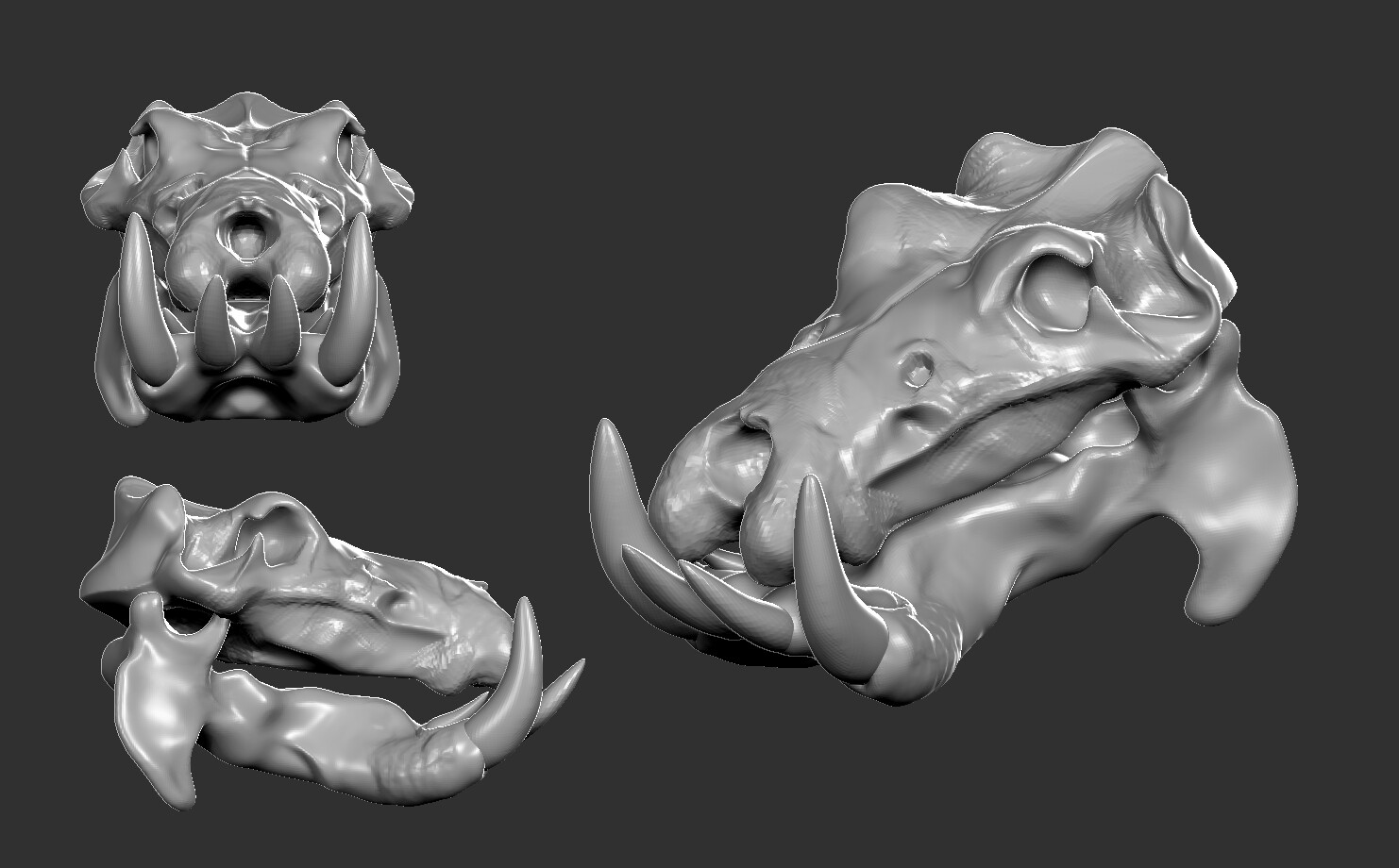 Hippo skull for a demo