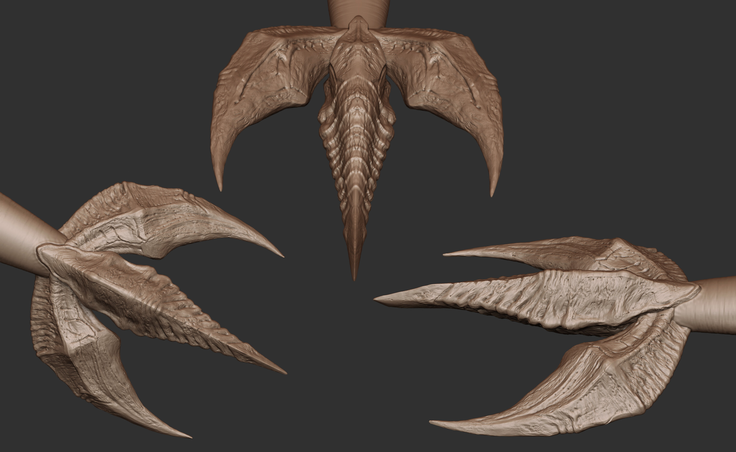 Sculpt of the tail barb.