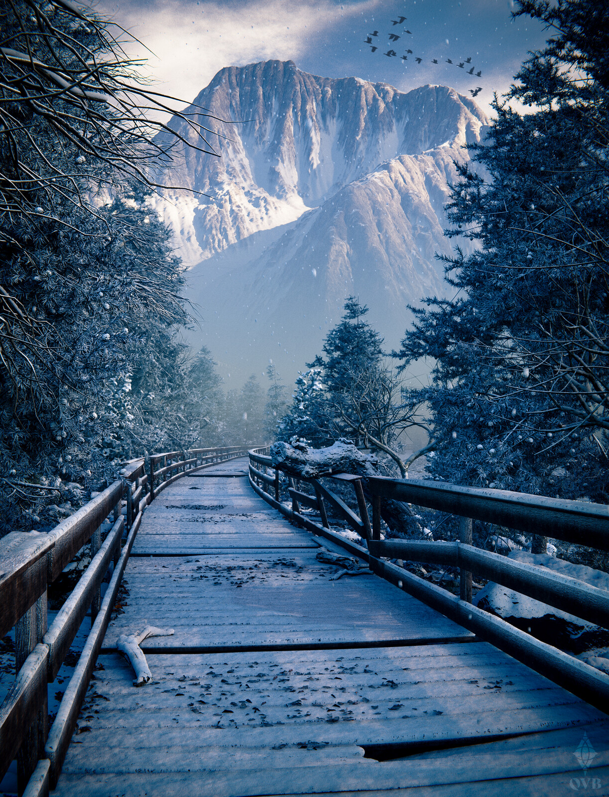 Winter Wonders