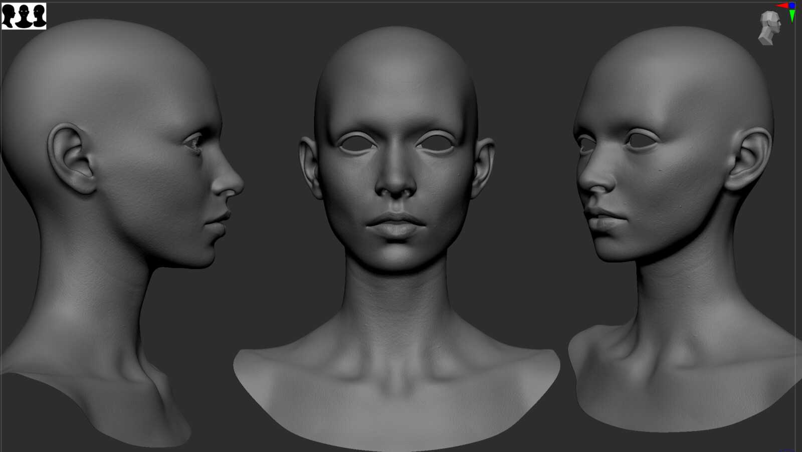 Face Sculpt
