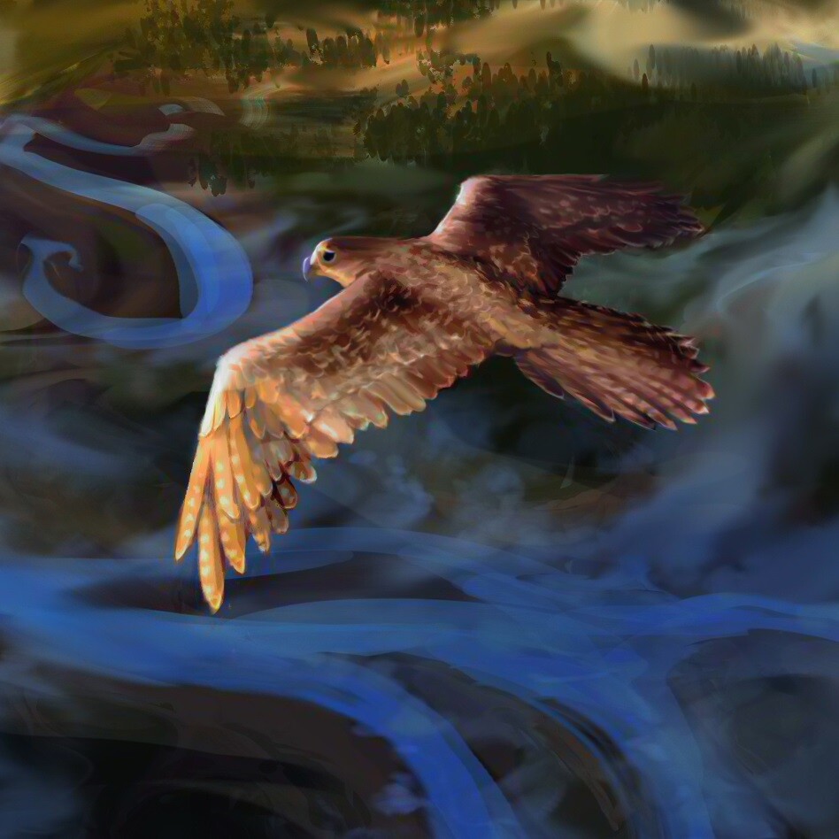 detail - peregrine falcon