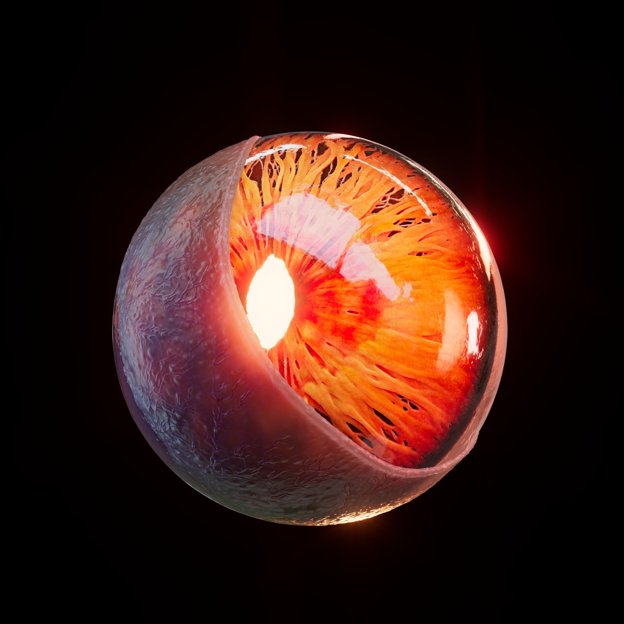 Final Eye with Iris converted to Depth/displacement map, and using Subsurface shader with all eye layers.